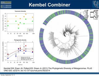 typically used as a qualitative measure because duplicate s
                                                                                      quences are usually removed from the tree. However, the
                                                                                      test may be used in a semiquantitative manner if all clone




                                Kembel Combiner
                                                                                      even those with identical or near-identical sequences, are i
                                                                                      cluded in the tree (13).
                                                                                         Here we describe a quantitative version of UniFrac that w
                                                                                      call “weighted UniFrac.” We show that weighted UniFrac b
                                                                                      haves similarly to the FST test in situations where both a




                                                                                         FIG. 1. Calculation of the unweighted and the weighted UniFr
                                                                                      measures. Squares and circles represent sequences from two differe
                                                                                      environments. (a) In unweighted UniFrac, the distance between t
                                                                                      circle and square communities is calculated as the fraction of t
                                                                                      branch length that has descendants from either the square or the circ
                                                                                      environment (black) but not both (gray). (b) In weighted UniFra
                                                                                      branch lengths are weighted by the relative abundance of sequences
                                                                                      the square and circle communities; square sequences are weight
                                                                                      twice as much as circle sequences because there are twice as many tot
                                                                                      circle sequences in the data set. The width of branches is proportion
                                                                                      to the degree to which each branch is weighted in the calculations, an
                                                                                      gray branches have no weight. Branches 1 and 2 have heavy weigh
                                                                                      since the descendants are biased toward the square and circles, respe
                                                                                      tively. Branch 3 contributes no value since it has an equal contributio
                                                                                      from circle and square sequences after normalization.




     Kembel SW, Eisen JA, Pollard KS, Green JL (2011) The Phylogenetic Diversity of Metagenomes. PLoS
     ONE 6(8): e23214. doi:10.1371/journal.pone.0023214

Sunday, September 16, 12
 