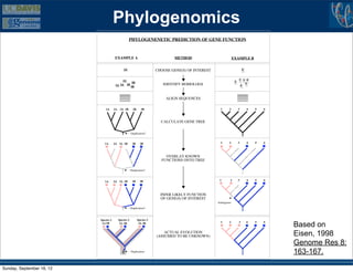 Phylogenomics
                                                     PHYLOGENENETIC PREDICTION OF GENE FUNCTION



                                       EXAMPLE A                                   METHOD                           EXAMPLE B

                                                2A                         CHOOSE GENE(S) OF INTEREST                        5


                                             3A                                                                          1 3 4
                                                  2B                                                                 2
                                                                              IDENTIFY HOMOLOGS                             5
                                        1A 2A 1B 3B                                                                       6



                                                                               ALIGN SEQUENCES

                               1A      2A    3A 1B        2B      3B                                      1    2         3       4   5   6



                                                                             CALCULATE GENE TREE


                                                        Duplication?


                              1A       2A 3A 1B          2B      3B                                       1    2         3       4   5   6



                                                                               OVERLAY KNOWN
                                                                             FUNCTIONS ONTO TREE

                                                        Duplication?


                                       2A 3A 1B          2B      3B                                      1      2        3       4   5   6
                              1A



                                                                             INFER LIKELY FUNCTION
                                                                             OF GENE(S) OF INTEREST
                                                                                                        Ambiguous
                                                        Duplication?



                           Species 1        Species 2          Species 3

                                                                                                                                             Based on
                            1A 1B            2A 2B              3A 3B                                     1    2         3       4   5   6


                                                                               ACTUAL EVOLUTION
                                                                           (ASSUMED TO BE UNKNOWN)                                           Eisen, 1998
                                                                                                                                             Genome Res 8:
                                                        Duplication                                                                          163-167.

Sunday, September 16, 12
 