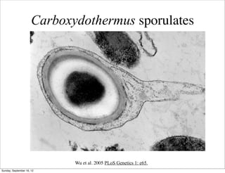 Carboxydothermus sporulates




                             Wu et al. 2005 PLoS Genetics 1: e65.
Sunday, September 16, 12
 