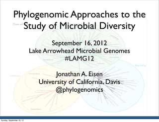 Phylogenomic Approaches to the
               Study of Microbial Diversity
                                   September 16, 2012
                           Lake Arrowhead Microbial Genomes
                                       #LAMG12

                                    Jonathan A. Eisen
                              University of California, Davis
                                   @phylogenomics



Sunday, September 16, 12
 
