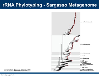 Venter et al., Science 304: 66. 2004
rRNA Phylotyping - Sargasso Metagenome
Wednesday, August 7, 13
 