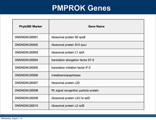 PMPROK Genes
Wednesday, August 7, 13
 