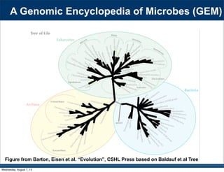 GAL35
Aquificae
EM3
Thermotogae
Dictyoglomi
SPAM
GAL15
CD12 (Aerophobetes)
OP8 (Aminicenantes)
AC1
SBR1093
Thermodesulfobacteria
Deferribacteres
Synergistetes
OP9 (Atribacteria)
:36í2
Caldiserica
AD3
Chloroflexi
Acidobacteria
Elusimicrobia
Nitrospirae
49S1 2B
Caldithrix
GOUTA4
6$5 0DULQLPLFURELD 