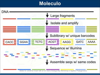 Evolution of DNA Sequencing - talk by Jonathan Eisen for the Bodega ...