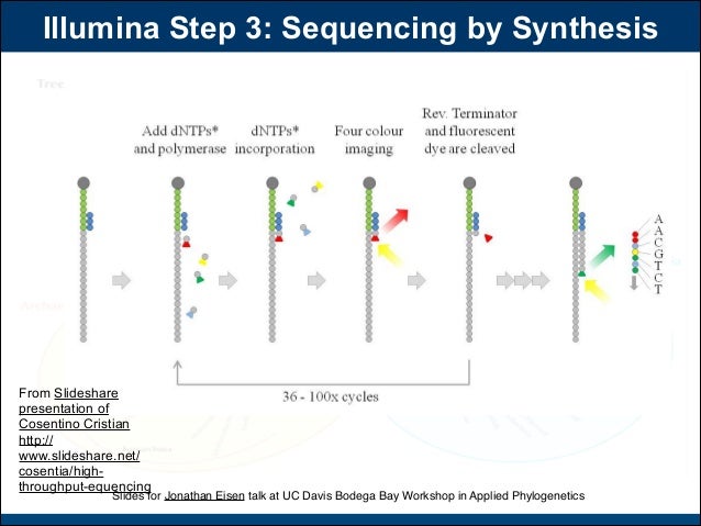 sequencing by synthesis
