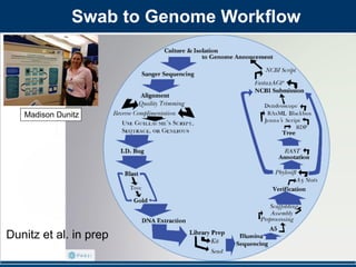 http://
www.google.
com/
http://
www.google.c
om/imgres?
Swab to Genome Workflow
Dunitz et al. in prep
Madison Dunitz
 