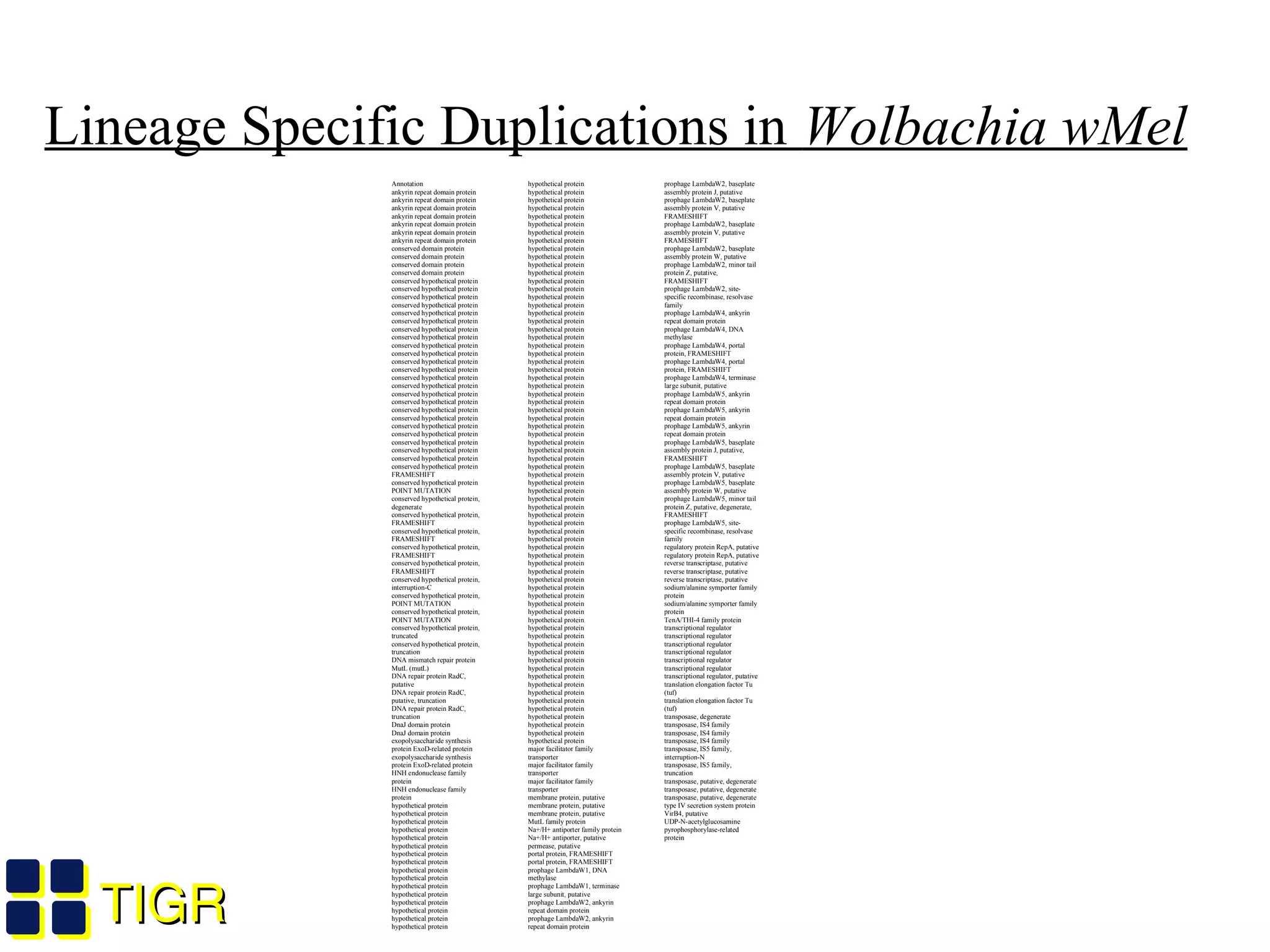 TIGRTIGR
Lineage Specific Duplications in Wolbachia wMel
Annotation
ankyrin repeat domain protein
ankyrin repeat domain protein
ankyrin repeat domain protein
ankyrin repeat domain protein
ankyrin repeat domain protein
ankyrin repeat domain protein
ankyrin repeat domain protein
conserved domain protein
conserved domain protein
conserved domain protein
conserved domain protein
conserved hypothetical protein
conserved hypothetical protein
conserved hypothetical protein
conserved hypothetical protein
conserved hypothetical protein
conserved hypothetical protein
conserved hypothetical protein
conserved hypothetical protein
conserved hypothetical protein
conserved hypothetical protein
conserved hypothetical protein
conserved hypothetical protein
conserved hypothetical protein
conserved hypothetical protein
conserved hypothetical protein
conserved hypothetical protein
conserved hypothetical protein
conserved hypothetical protein
conserved hypothetical protein
conserved hypothetical protein
conserved hypothetical protein
conserved hypothetical protein
conserved hypothetical protein
conserved hypothetical protein
FRAMESHIFT
conserved hypothetical protein
POINT MUTATION
conserved hypothetical protein,
degenerate
conserved hypothetical protein,
FRAMESHIFT
conserved hypothetical protein,
FRAMESHIFT
conserved hypothetical protein,
FRAMESHIFT
conserved hypothetical protein,
FRAMESHIFT
conserved hypothetical protein,
interruption-C
conserved hypothetical protein,
POINT MUTATION
conserved hypothetical protein,
POINT MUTATION
conserved hypothetical protein,
truncated
conserved hypothetical protein,
truncation
DNA mismatch repair protein
MutL (mutL)
DNA repair protein RadC,
putative
DNA repair protein RadC,
putative, truncation
DNA repair protein RadC,
truncation
DnaJ domain protein
DnaJ domain protein
exopolysaccharide synthesis
protein ExoD-related protein
exopolysaccharide synthesis
protein ExoD-related protein
HNH endonuclease family
protein
HNH endonuclease family
protein
hypothetical protein
hypothetical protein
hypothetical protein
hypothetical protein
hypothetical protein
hypothetical protein
hypothetical protein
hypothetical protein
hypothetical protein
hypothetical protein
hypothetical protein
hypothetical protein
hypothetical protein
hypothetical protein
hypothetical protein
hypothetical protein
hypothetical protein
hypothetical protein
hypothetical protein
hypothetical protein
hypothetical protein
hypothetical protein
hypothetical protein
hypothetical protein
hypothetical protein
hypothetical protein
hypothetical protein
hypothetical protein
hypothetical protein
hypothetical protein
hypothetical protein
hypothetical protein
hypothetical protein
hypothetical protein
hypothetical protein
hypothetical protein
hypothetical protein
hypothetical protein
hypothetical protein
hypothetical protein
hypothetical protein
hypothetical protein
hypothetical protein
hypothetical protein
hypothetical protein
hypothetical protein
hypothetical protein
hypothetical protein
hypothetical protein
hypothetical protein
hypothetical protein
hypothetical protein
hypothetical protein
hypothetical protein
hypothetical protein
hypothetical protein
hypothetical protein
hypothetical protein
hypothetical protein
hypothetical protein
hypothetical protein
hypothetical protein
hypothetical protein
hypothetical protein
hypothetical protein
hypothetical protein
hypothetical protein
hypothetical protein
hypothetical protein
hypothetical protein
hypothetical protein
hypothetical protein
hypothetical protein
hypothetical protein
hypothetical protein
hypothetical protein
hypothetical protein
hypothetical protein
hypothetical protein
hypothetical protein
hypothetical protein
hypothetical protein
hypothetical protein
hypothetical protein
hypothetical protein
hypothetical protein
major facilitator family
transporter
major facilitator family
transporter
major facilitator family
transporter
membrane protein, putative
membrane protein, putative
membrane protein, putative
MutL family protein
Na+/H+ antiporter family protein
Na+/H+ antiporter, putative
permease, putative
portal protein, FRAMESHIFT
portal protein, FRAMESHIFT
prophage LambdaW1, DNA
methylase
prophage LambdaW1, terminase
large subunit, putative
prophage LambdaW2, ankyrin
repeat domain protein
prophage LambdaW2, ankyrin
repeat domain protein
prophage LambdaW2, baseplate
assembly protein J, putative
prophage LambdaW2, baseplate
assembly protein V, putative
FRAMESHIFT
prophage LambdaW2, baseplate
assembly protein V, putative
FRAMESHIFT
prophage LambdaW2, baseplate
assembly protein W, putative
prophage LambdaW2, minor tail
protein Z, putative,
FRAMESHIFT
prophage LambdaW2, site-
specific recombinase, resolvase
family
prophage LambdaW4, ankyrin
repeat domain protein
prophage LambdaW4, DNA
methylase
prophage LambdaW4, portal
protein, FRAMESHIFT
prophage LambdaW4, portal
protein, FRAMESHIFT
prophage LambdaW4, terminase
large subunit, putative
prophage LambdaW5, ankyrin
repeat domain protein
prophage LambdaW5, ankyrin
repeat domain protein
prophage LambdaW5, ankyrin
repeat domain protein
prophage LambdaW5, baseplate
assembly protein J, putative,
FRAMESHIFT
prophage LambdaW5, baseplate
assembly protein V, putative
prophage LambdaW5, baseplate
assembly protein W, putative
prophage LambdaW5, minor tail
protein Z, putative, degenerate,
FRAMESHIFT
prophage LambdaW5, site-
specific recombinase, resolvase
family
regulatory protein RepA, putative
regulatory protein RepA, putative
reverse transcriptase, putative
reverse transcriptase, putative
reverse transcriptase, putative
sodium/alanine symporter family
protein
sodium/alanine symporter family
protein
TenA/THI-4 family protein
transcriptional regulator
transcriptional regulator
transcriptional regulator
transcriptional regulator
transcriptional regulator
transcriptional regulator
transcriptional regulator, putative
translation elongation factor Tu
(tuf)
translation elongation factor Tu
(tuf)
transposase, degenerate
transposase, IS4 family
transposase, IS4 family
transposase, IS4 family
transposase, IS5 family,
interruption-N
transposase, IS5 family,
truncation
transposase, putative, degenerate
transposase, putative, degenerate
transposase, putative, degenerate
type IV secretion system protein
VirB4, putative
UDP-N-acetylglucosamine
pyrophosphorylase-related
protein
 
