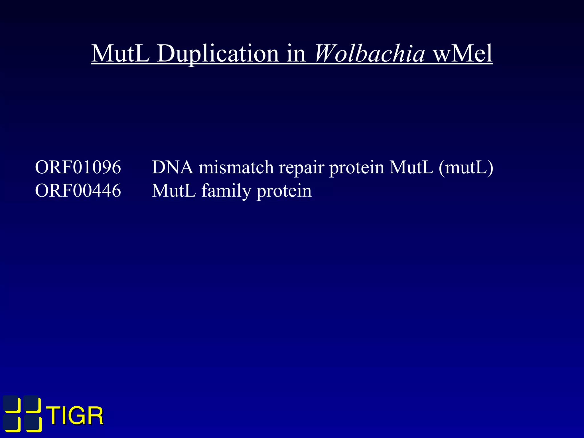 TIGRTIGR
MutL Duplication in Wolbachia wMel
ORF01096 DNA mismatch repair protein MutL (mutL)
ORF00446 MutL family protein
 