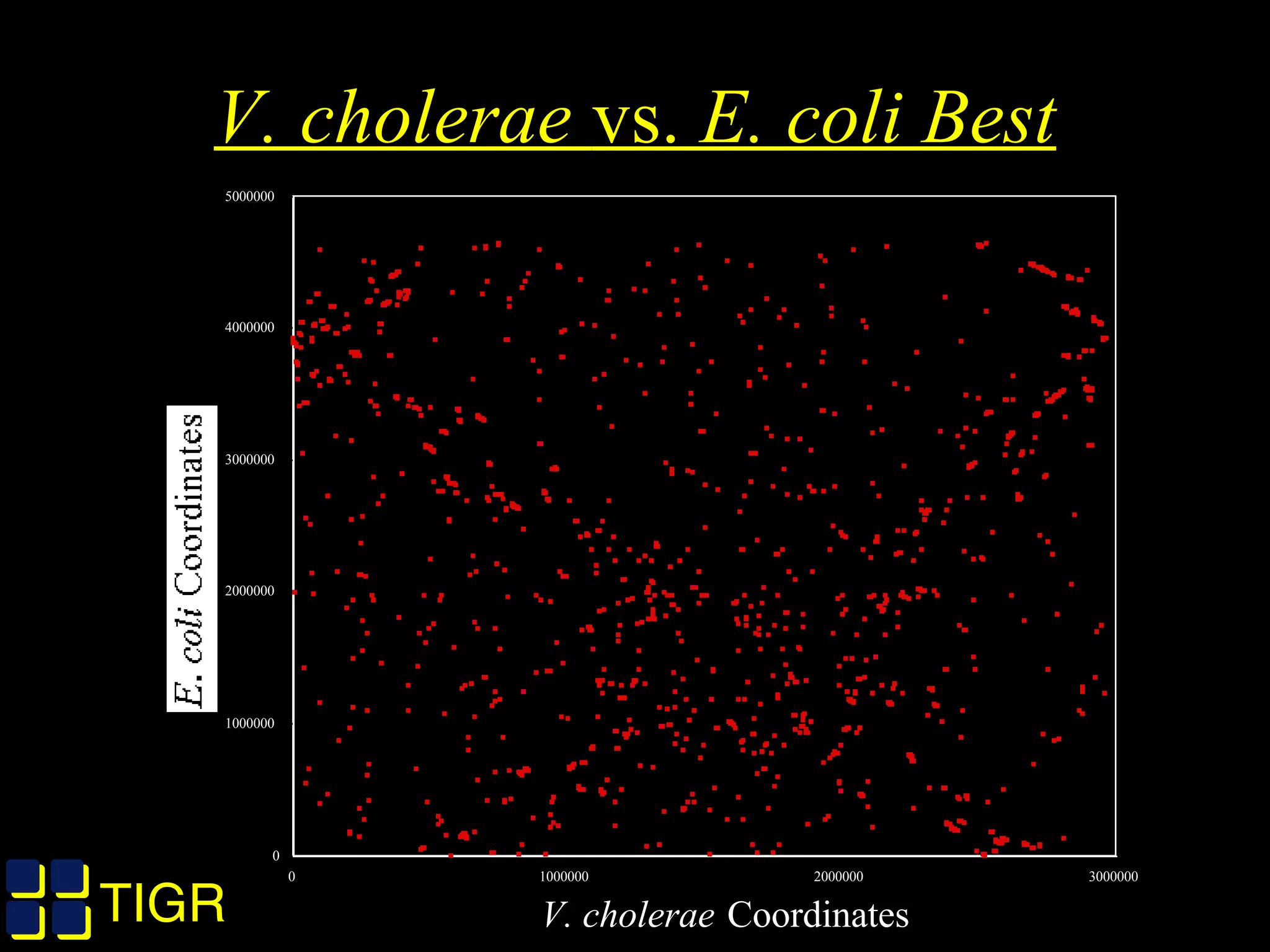 TIGRTIGR
V. cholerae vs. E. coli Best
0
1000000
2000000
3000000
4000000
5000000
E. coli
Coordinates
0 1000000 2000000 3000000
V. cholerae Coordinates
 