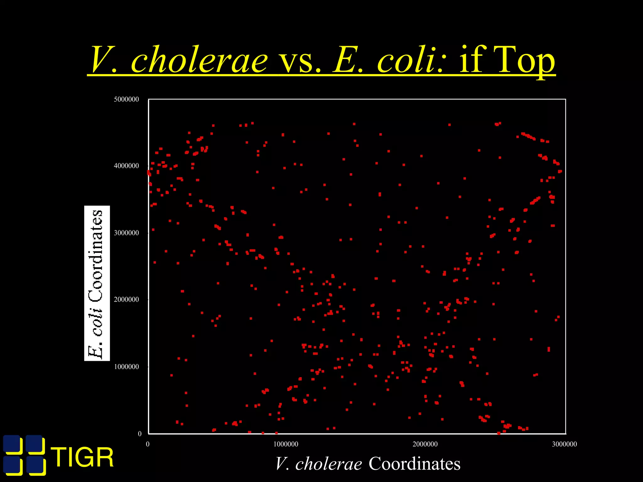 TIGRTIGR
V. cholerae vs. E. coli: if Top
0
1000000
2000000
3000000
4000000
5000000
E. coli
Coordinates
0 1000000 2000000 3000000
V. cholerae Coordinates
 