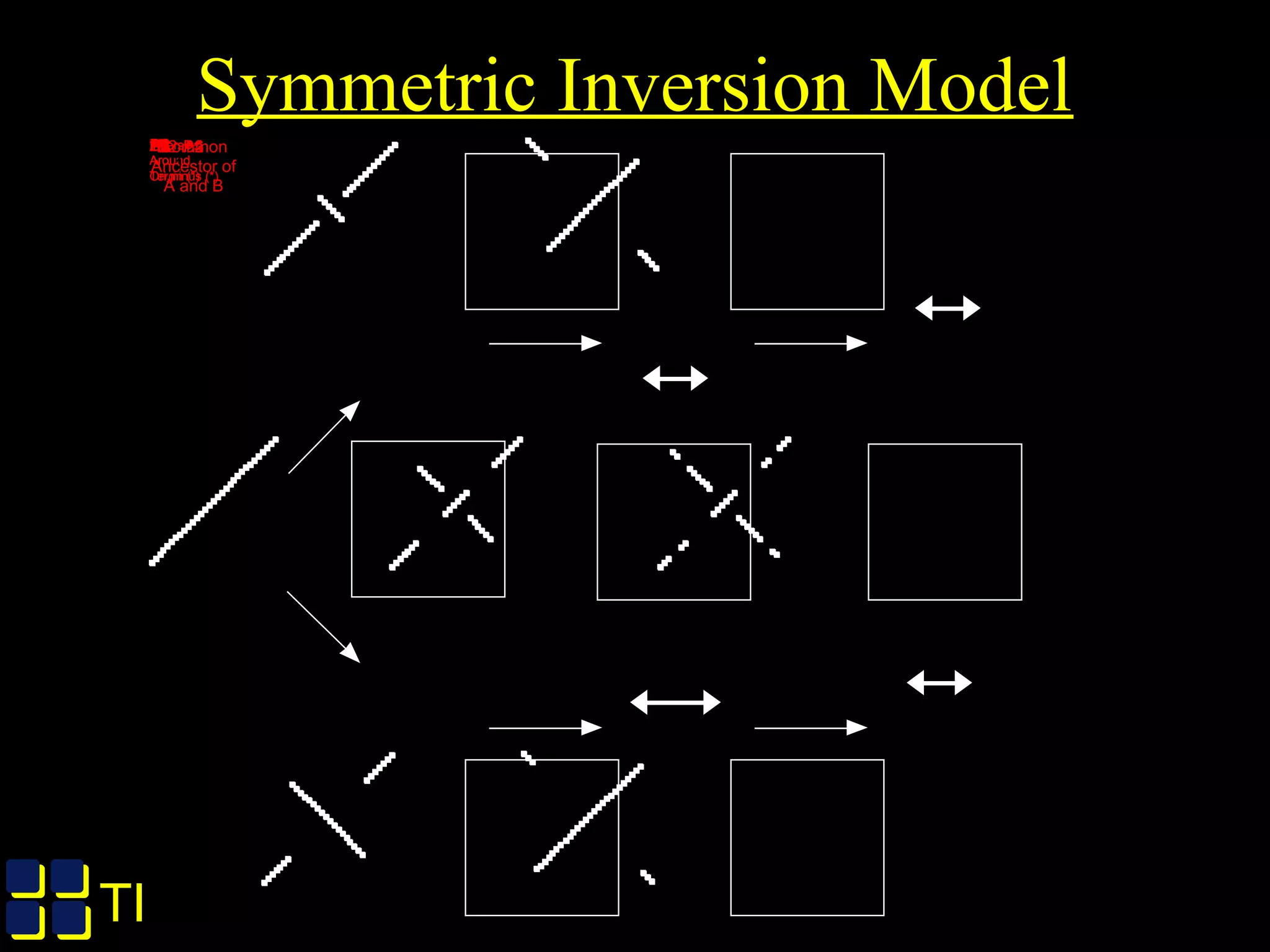TIGRTIGR
B1A1B2A2B3A3B3B22423222120191817161514131211109672582627282930123453132
B131326789101112131415161718192021222324252627282930123453132
B32423222120191817161514131211109672582627282933231304521
A131326789101112131415161718192021222324252627282930123453132
A231326789101112131918171615142021222324252627282930123453132
A32678910111213191817161514202122232425262754331302928132
B2Inversion
Around
Terminus (*)
Inversion
Around
Terminus (*)
Inversion
Around
Origin (*)
Inversion
Around
Origin (*)
******** Common
Ancestor of
A and B
31326789101112131415161718192021222324252627282930123453132
A2A1A2A3B2B1
Symmetric Inversion Model
 
