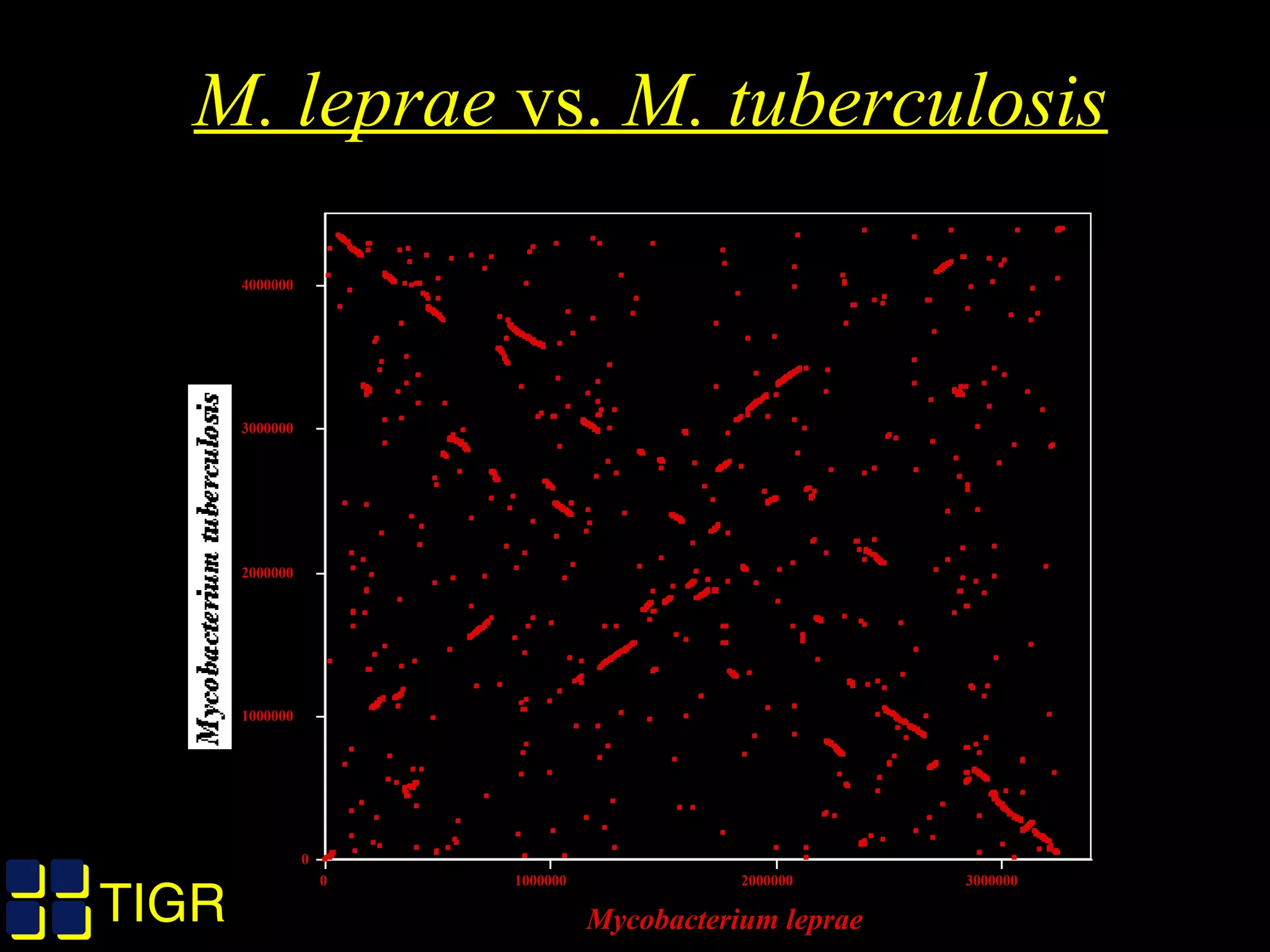TIGRTIGR
M. leprae vs. M. tuberculosis
0
1000000
2000000
3000000
4000000
Mycobacterium tuberculosis
0 1000000 2000000 3000000
Mycobacterium leprae
 