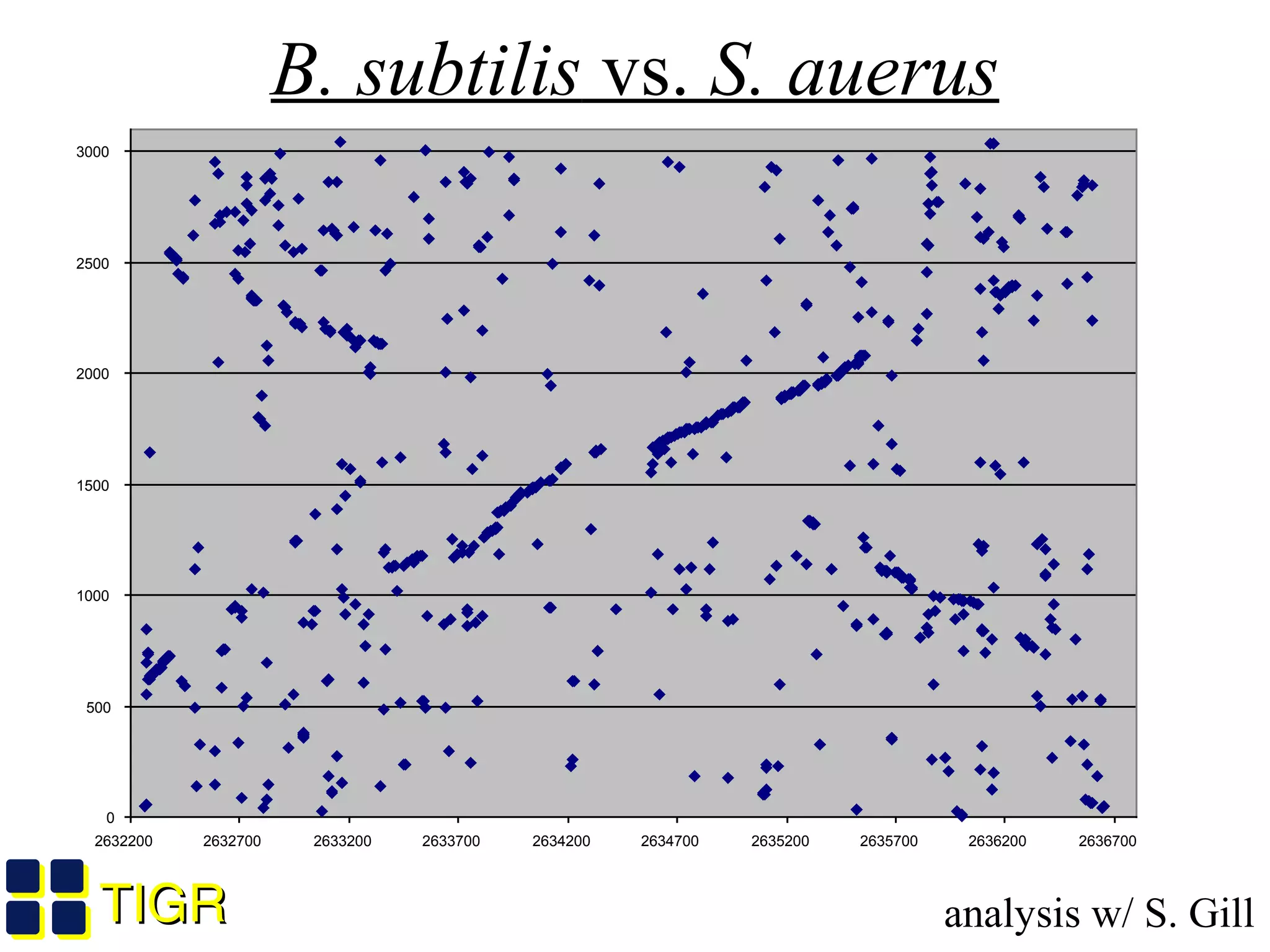 TIGRTIGR
B. subtilis vs. S. auerus
0
500
1000
1500
2000
2500
3000
2632200 2632700 2633200 2633700 2634200 2634700 2635200 2635700 2636200 2636700
analysis w/ S. Gill
 