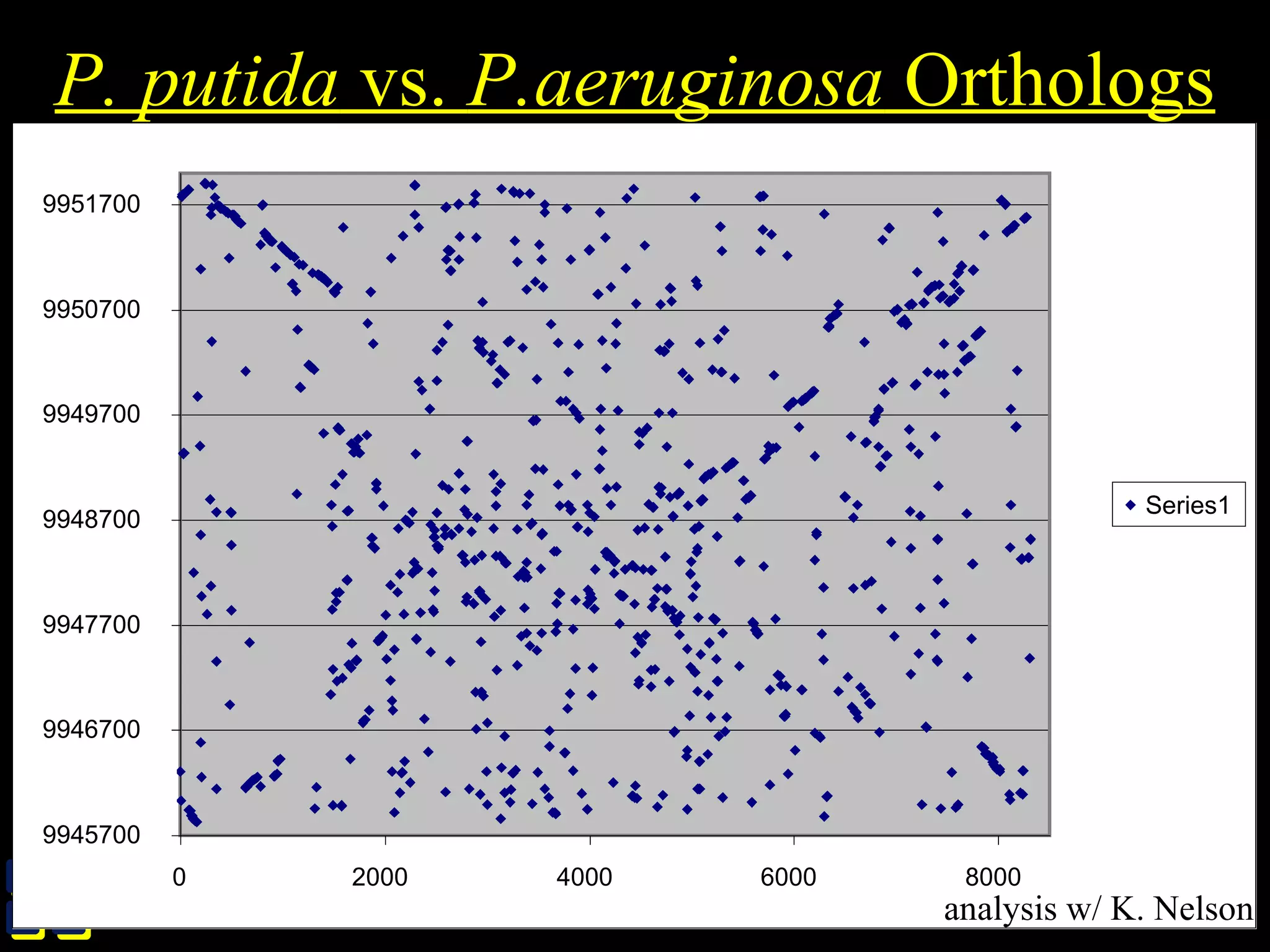 TIGRTIGR
P. putida vs. P.aeruginosa Orthologs
9945700
9946700
9947700
9948700
9949700
9950700
9951700
0 2000 4000 6000 8000
Series1
analysis w/ K. Nelson
 