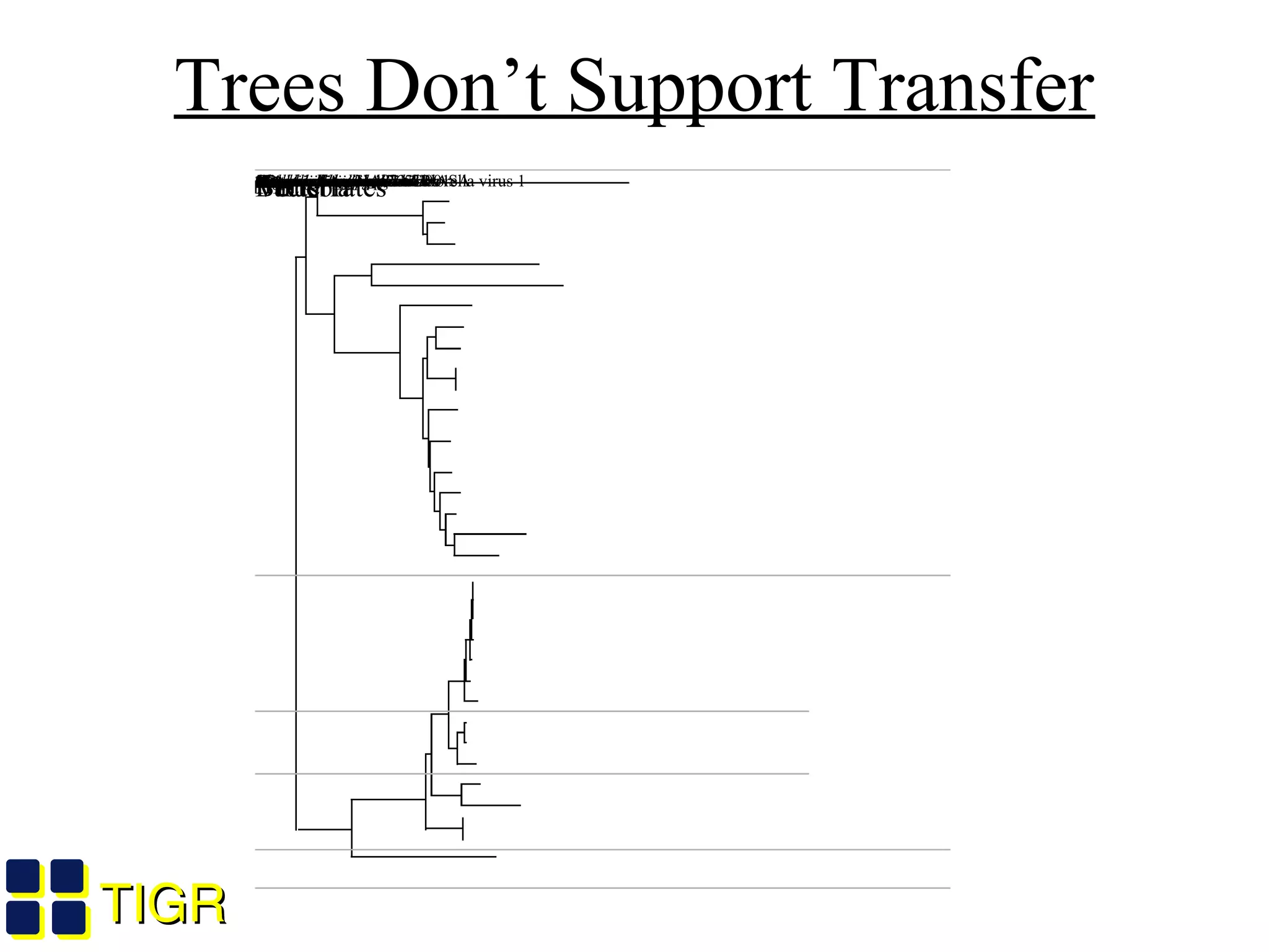 TIGRTIGR
Trees Don’t Support Transfer
Paramecium bursaria Chlorella virus 1Homo sapiens HAS1Mus musculus HAS1Xenopus laevisXenopus laevisDanio rerioHomo sapiensMus musculusDanio rerioXenopus laevisGallus gallusBos taurusHomo sapiensMus musculusRattus norvegicusBradyrhizobium sp SNU001Rhizobium leguminosarumRhizobium spRhizobium lotiRhizobium tropiciRhizobium sp. NodCMesorhizobium sp 7653RSinorhizobium melilotiRhizobium melilotiRhizobium leguminosarumRhizobium galegaeAzorhizobium caulinodansStigmatella aurantiacaStreptomyces coelicolorStreptococcus uberisStreptococcus equisimilisStreptococcus pyogenes HASAStreptococcus pneumoniae0.2
BacteriaVertebratesVirusIIIIII
Salzberg et al. 2001
 