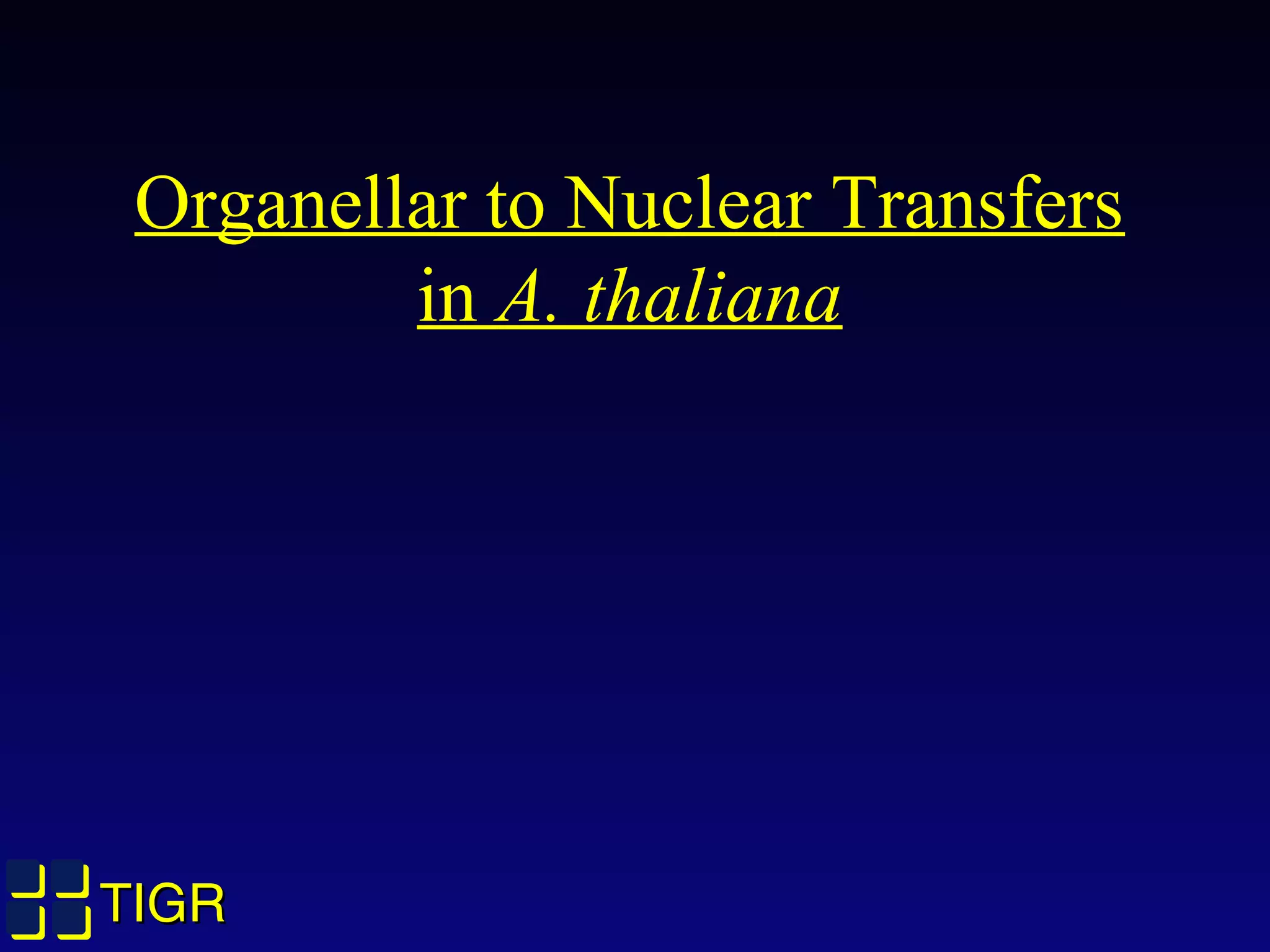 TIGRTIGR
Organellar to Nuclear Transfers
in A. thaliana
 