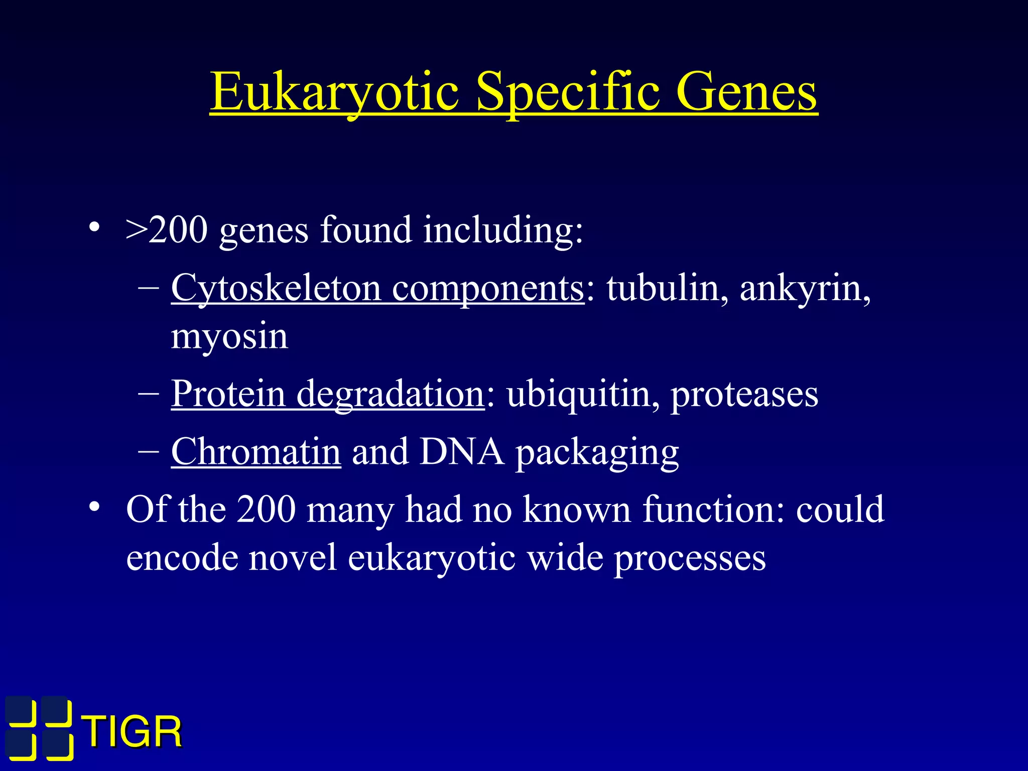 TIGRTIGR
Eukaryotic Specific Genes
• >200 genes found including:
– Cytoskeleton components: tubulin, ankyrin,
myosin
– Protein degradation: ubiquitin, proteases
– Chromatin and DNA packaging
• Of the 200 many had no known function: could
encode novel eukaryotic wide processes
 