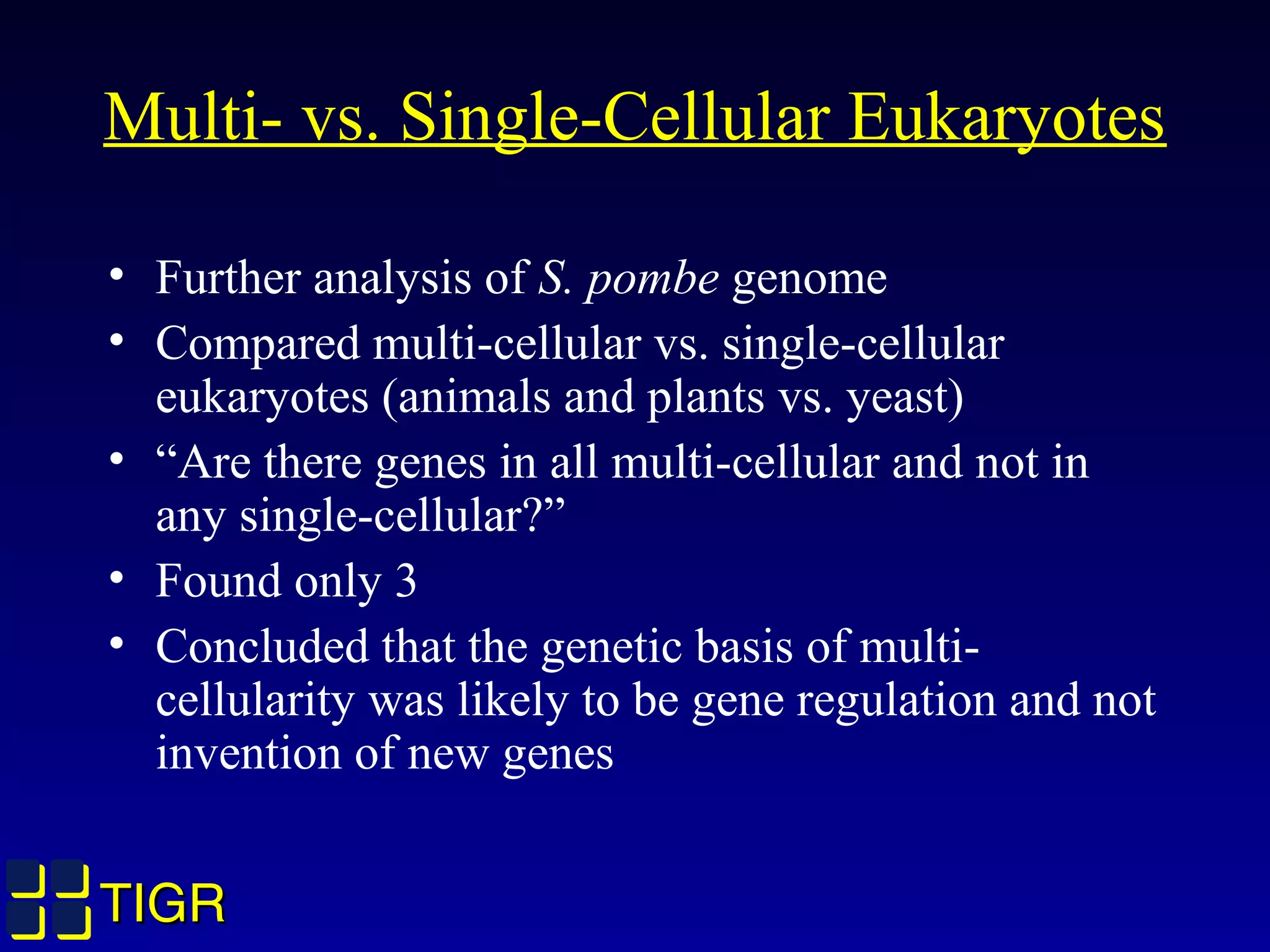 TIGRTIGR
Multi- vs. Single-Cellular Eukaryotes
• Further analysis of S. pombe genome
• Compared multi-cellular vs. single-cellular
eukaryotes (animals and plants vs. yeast)
• “Are there genes in all multi-cellular and not in
any single-cellular?”
• Found only 3
• Concluded that the genetic basis of multi-
cellularity was likely to be gene regulation and not
invention of new genes
 