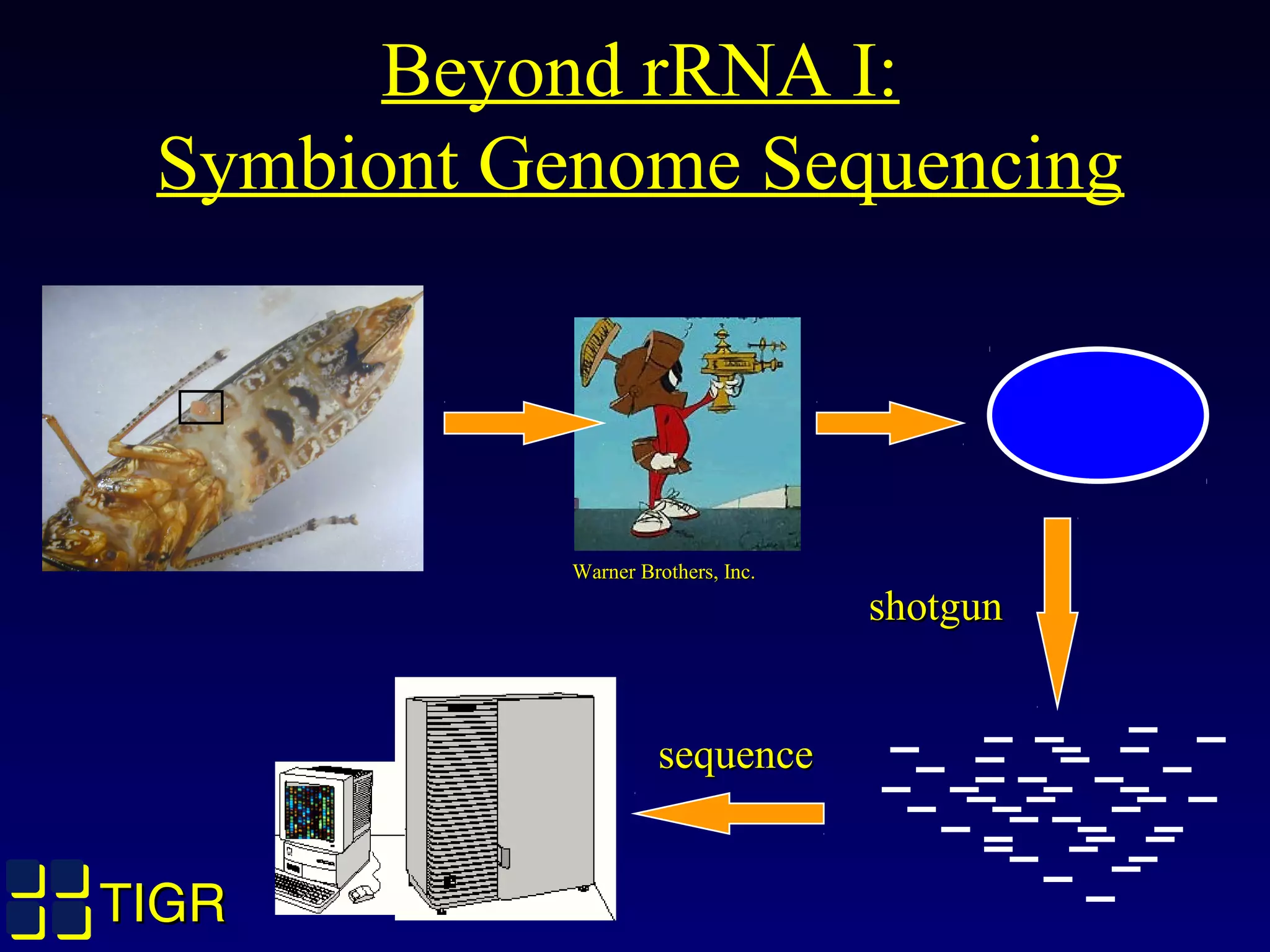 TIGRTIGR
Beyond rRNA I:
Symbiont Genome Sequencing
shotgunshotgun
sequencesequence
Warner Brothers, Inc.Warner Brothers, Inc.
 