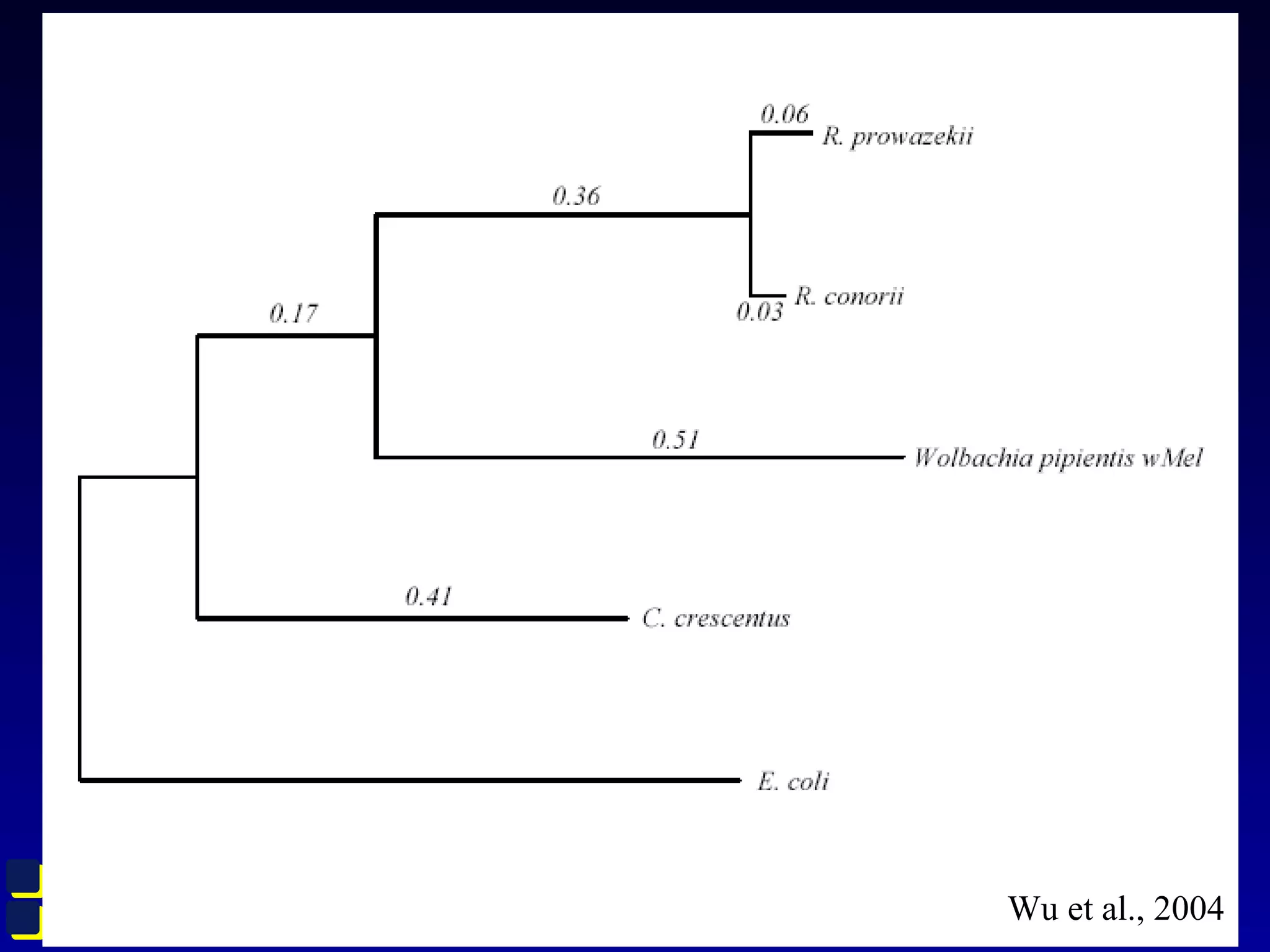 TIGRTIGR Wu et al., 2004
 