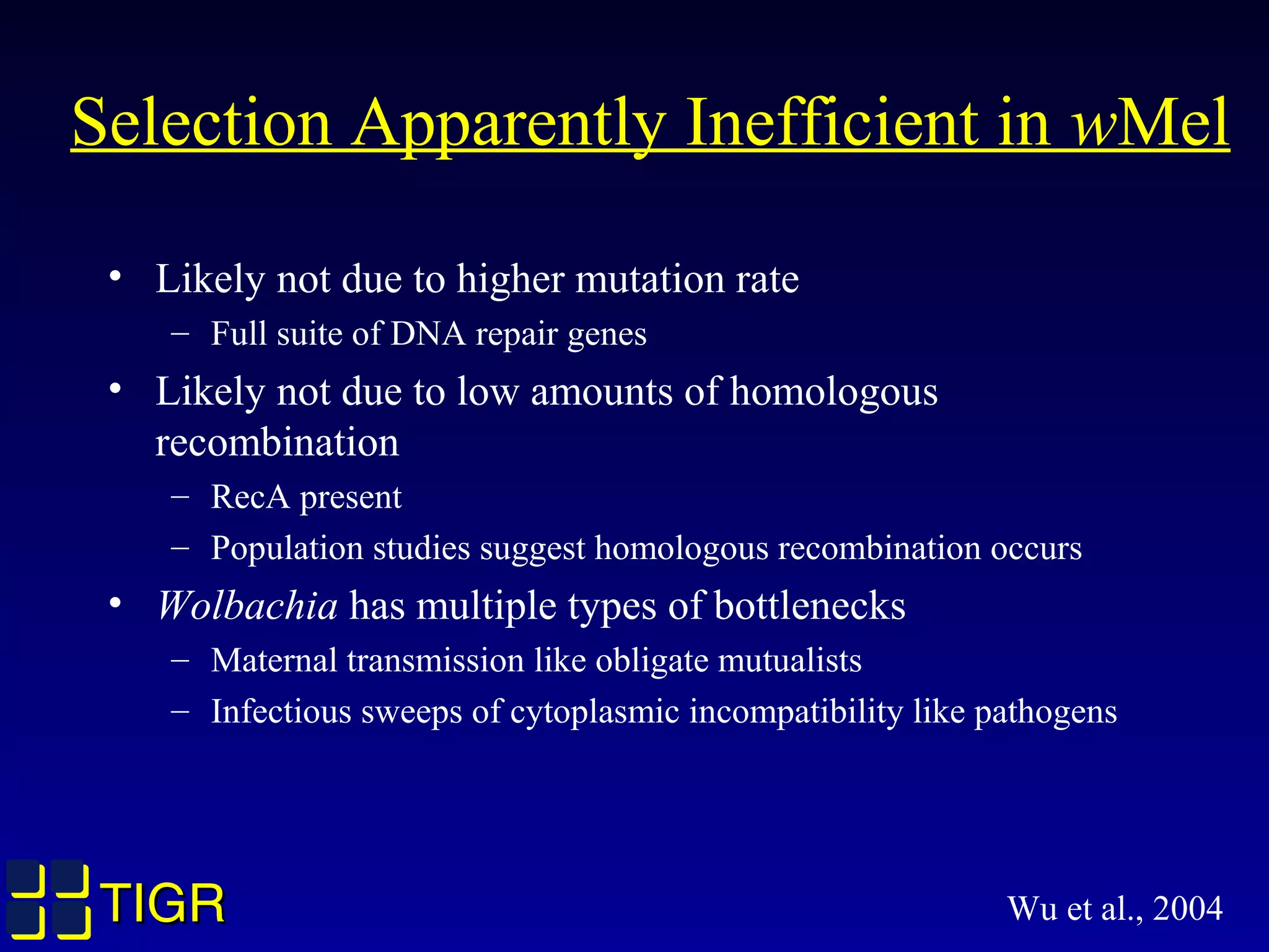 TIGRTIGR
Selection Apparently Inefficient in wMel
• Likely not due to higher mutation rate
– Full suite of DNA repair genes
• Likely not due to low amounts of homologous
recombination
– RecA present
– Population studies suggest homologous recombination occurs
• Wolbachia has multiple types of bottlenecks
– Maternal transmission like obligate mutualists
– Infectious sweeps of cytoplasmic incompatibility like pathogens
Wu et al., 2004
 