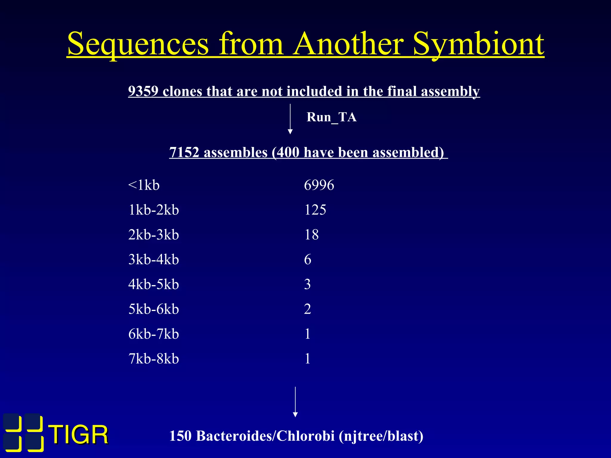 TIGRTIGR
9359 clones that are not included in the final assembly
Run_TA
7152 assembles (400 have been assembled)
<1kb 6996
1kb-2kb 125
2kb-3kb 18
3kb-4kb 6
4kb-5kb 3
5kb-6kb 2
6kb-7kb 1
7kb-8kb 1
Sequences from Another Symbiont
150 Bacteroides/Chlorobi (njtree/blast)
 