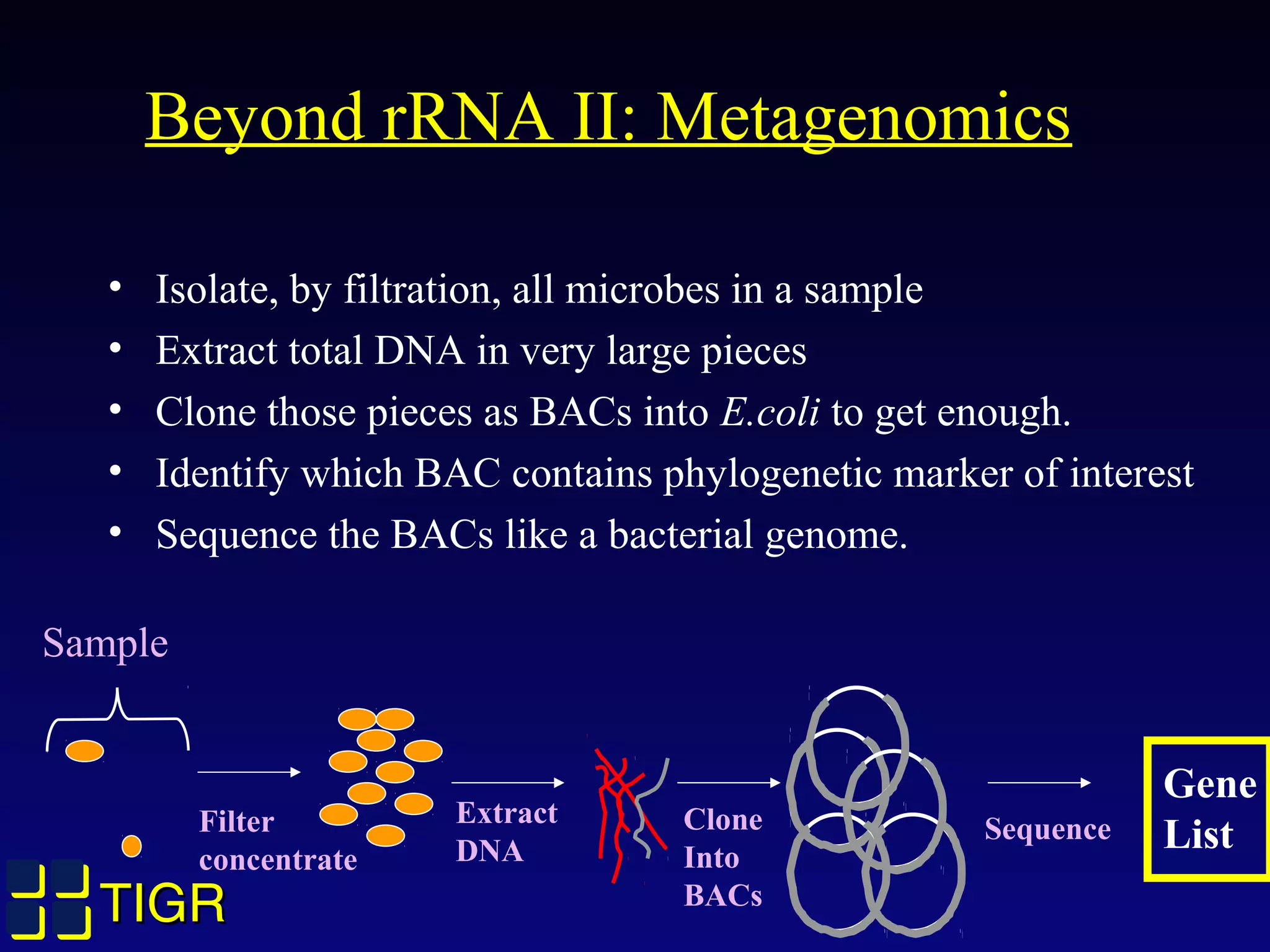 TIGRTIGR
Beyond rRNA II: Metagenomics
• Isolate, by filtration, all microbes in a sample
• Extract total DNA in very large pieces
• Clone those pieces as BACs into E.coli to get enough.
• Identify which BAC contains phylogenetic marker of interest
• Sequence the BACs like a bacterial genome.
Sample
Filter
concentrate
Extract
DNA
Clone
Into
BACs
Sequence
Gene
List
 