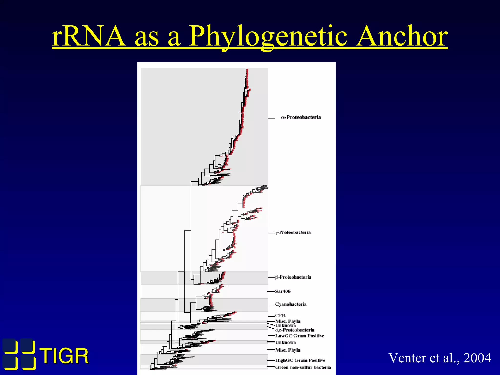 TIGRTIGR
rRNA as a Phylogenetic Anchor
Venter et al., 2004
 
