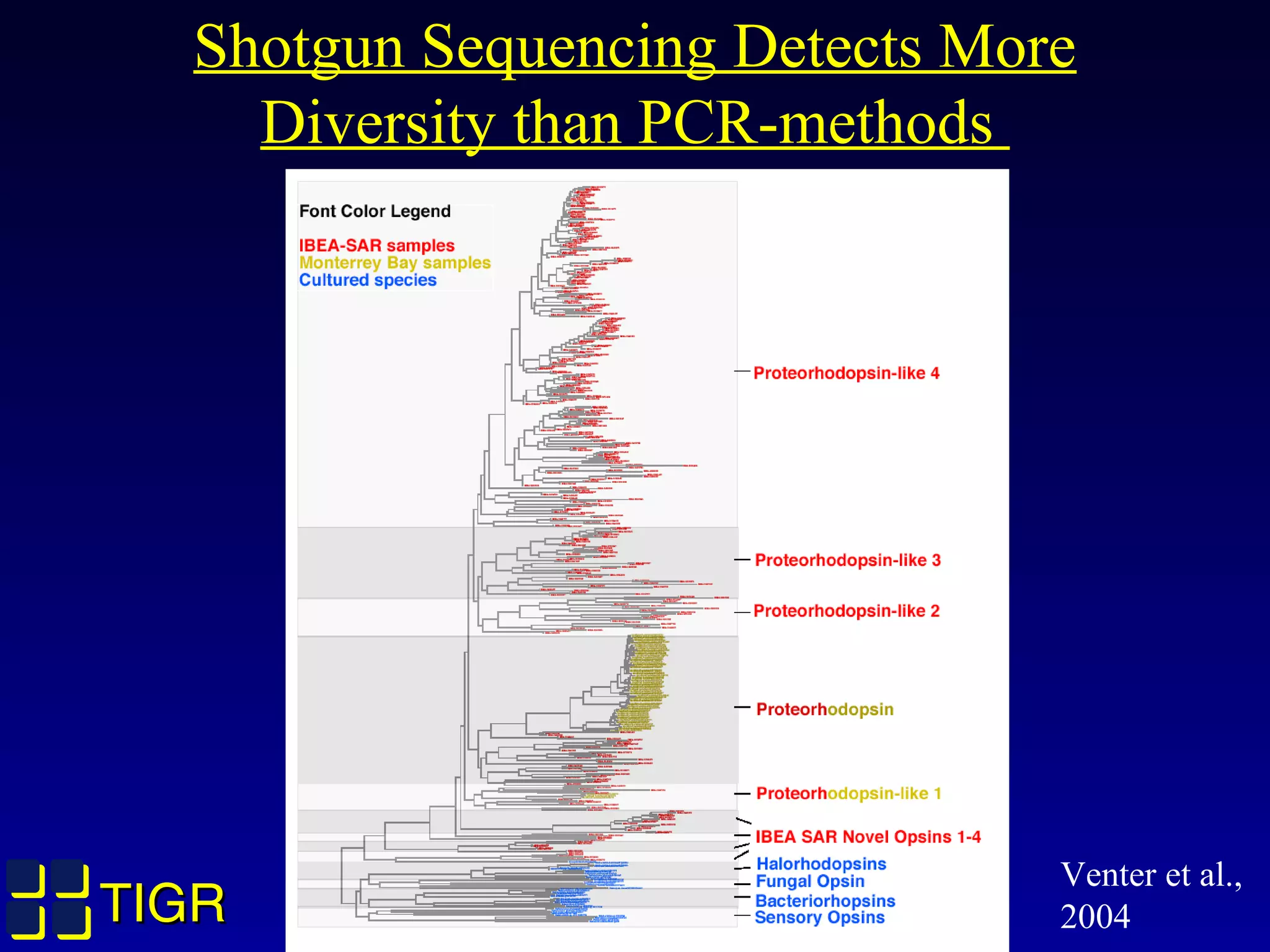 TIGRTIGR
Shotgun Sequencing Detects More
Diversity than PCR-methods
Venter et al.,
2004
 