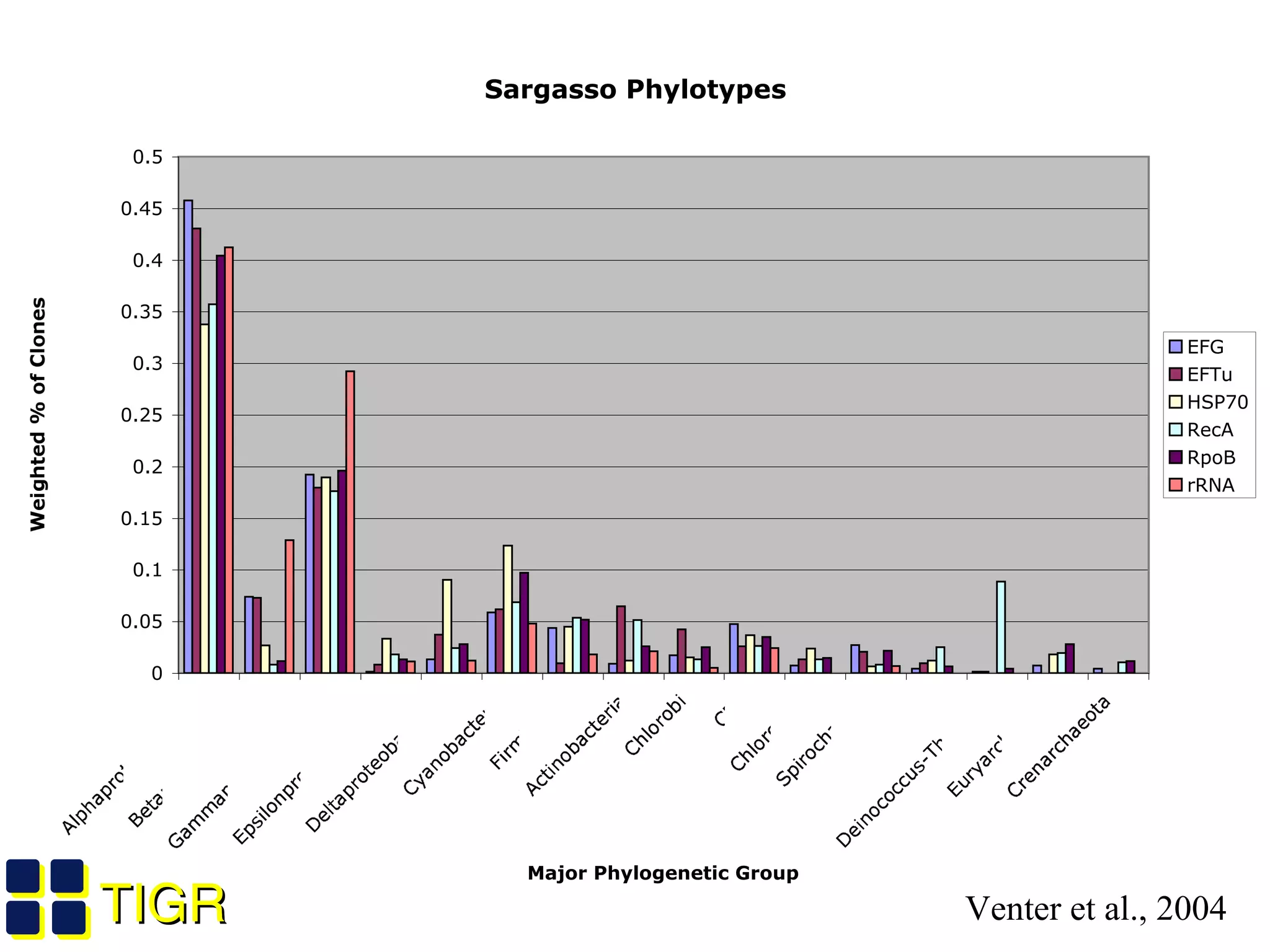 TIGRTIGR
Sargasso Phylotypes
0
0.05
0.1
0.15
0.2
0.25
0.3
0.35
0.4
0.45
0.5
AlphaproteobacteriaBetaproteobacteria
GammaproteobacteriaEpsilonproteobacteria
Deltaproteobacteria
Cyanobacteria
Firmicutes
Actinobacteria
Chlorobi
CFB
Chloroflexi
SpirochaetesFusobacteria
Deinococcus-Thermus
EuryarchaeotaCrenarchaeota
Major Phylogenetic Group
Weighted % of Clones
EFG
EFTu
HSP70
RecA
RpoB
rRNA
Venter et al., 2004
 
