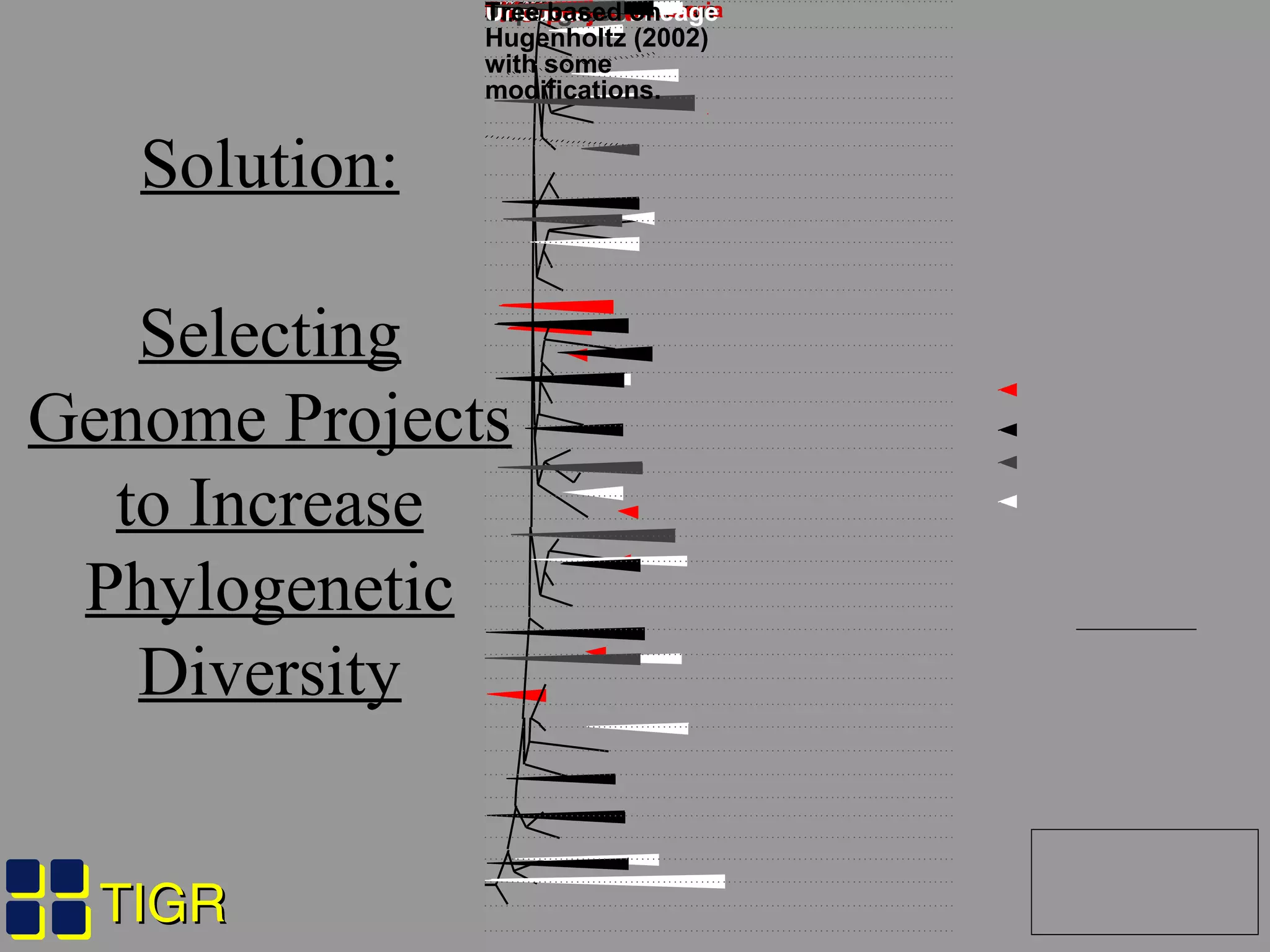 TIGRTIGR
0.1AcidobacteriaBacteroidesFibrobacteresGemmimonasVerrucomicrobiaPlanctomycetesChloroflexiProteobacteriaChlorobiFirmicutesFusobacteriaActinobacteriaCyanobacteriaChlamydiaSpriochaetesDeinococcus-ThermusAquificaeThermotogaeTM6OS-KTermite GroupOP8Marine GroupAWS3OP9NKB19OP3OP10TM7OP1OP11NitrospiraSynergistesDeferribacteresThermudesulfobacteriaChrysiogenetesThermomicrobiaDictyoglomusCoprothmermobacterThis projectPublishedIn progressUncultured lineageTree based on
Hugenholtz (2002)
with some
modifications.
Solution:
Selecting
Genome Projects
to Increase
Phylogenetic
Diversity
 