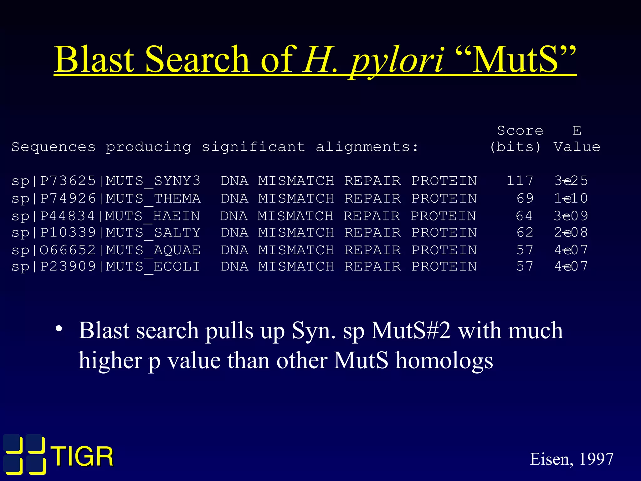TIGRTIGR
Blast Search of H. pylori “MutS”
Score E
Sequences producing significant alignments: (bits) Value
sp|P73625|MUTS_SYNY3 DNA MISMATCH REPAIR PROTEIN 117 3e-25
sp|P74926|MUTS_THEMA DNA MISMATCH REPAIR PROTEIN 69 1e-10
sp|P44834|MUTS_HAEIN DNA MISMATCH REPAIR PROTEIN 64 3e-09
sp|P10339|MUTS_SALTY DNA MISMATCH REPAIR PROTEIN 62 2e-08
sp|O66652|MUTS_AQUAE DNA MISMATCH REPAIR PROTEIN 57 4e-07
sp|P23909|MUTS_ECOLI DNA MISMATCH REPAIR PROTEIN 57 4e-07
• Blast search pulls up Syn. sp MutS#2 with much
higher p value than other MutS homologs
Eisen, 1997
 