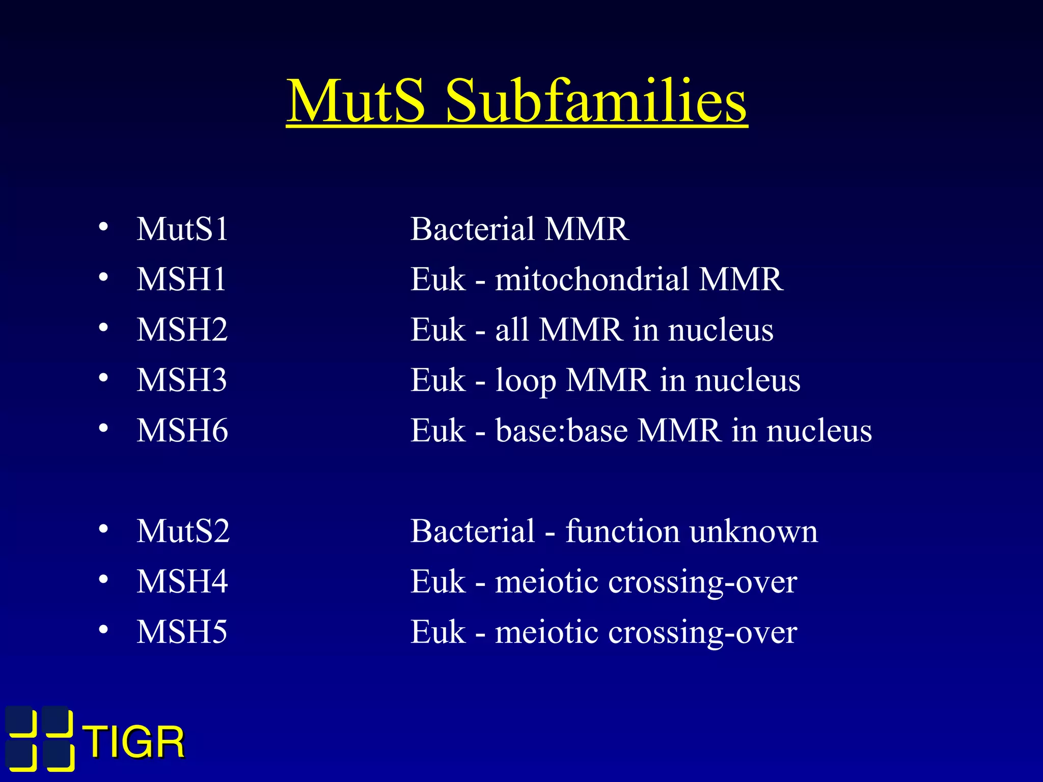 TIGRTIGR
MutS Subfamilies
• MutS1 Bacterial MMR
• MSH1 Euk - mitochondrial MMR
• MSH2 Euk - all MMR in nucleus
• MSH3 Euk - loop MMR in nucleus
• MSH6 Euk - base:base MMR in nucleus
• MutS2 Bacterial - function unknown
• MSH4 Euk - meiotic crossing-over
• MSH5 Euk - meiotic crossing-over
 
