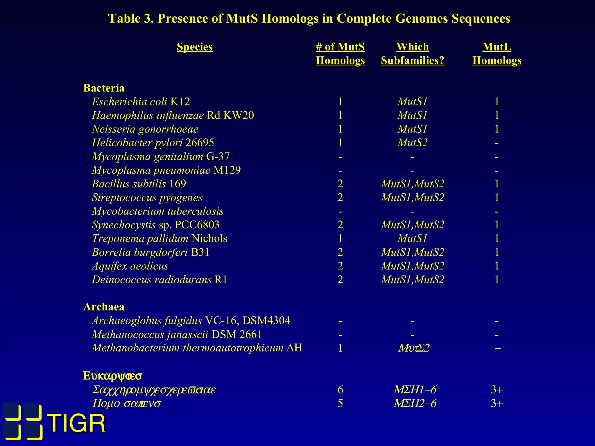TIGRTIGR
Table 3. Presence of MutS Homologs in Complete Genomes Sequences
Species # of MutS
Homologs
Which
Subfamilies?
MutL
Homologs
Bacteria
Escherichia coli K12 1 MutS1 1
Haemophilus influenzae Rd KW20 1 MutS1 1
Neisseria gonorrhoeae 1 MutS1 1
Helicobacter pylori 26695 1 MutS2 -
Mycoplasma genitalium G-37 - - -
Mycoplasma pneumoniae M129 - - -
Bacillus subtilis 169 2 MutS1,MutS2 1
Streptococcus pyogenes 2 MutS1,MutS2 1
Mycobacterium tuberculosis - - -
Synechocystis sp. PCC6803 2 MutS1,MutS2 1
Treponema pallidum Nichols 1 MutS1 1
Borrelia burgdorferi B31 2 MutS1,MutS2 1
Aquifex aeolicus 2 MutS1,MutS2 1
Deinococcus radiodurans R1 2 MutS1,MutS2 1
Archaea
Archaeoglobus fulgidus VC-16, DSM4304 - - -
Methanococcus janasscii DSM 2661 - - -
Methanobacterium thermoautotrophicum ∆Η 1 ΜυτΣ2 −
Ευκαρψοτεσ
Σαχχηαροµψχεσχερεϖισιαε 6 ΜΣΗ1−6 3+
Ηοµο σαπιενσ 5 ΜΣΗ2−6 3+
 