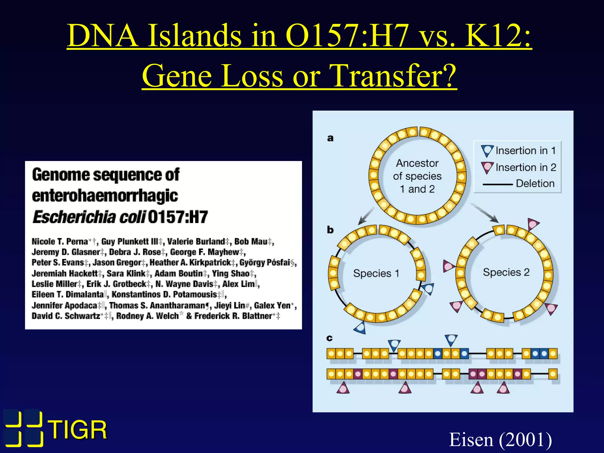 TIGRTIGR
DNA Islands in O157:H7 vs. K12:
Gene Loss or Transfer?
Eisen (2001)
 