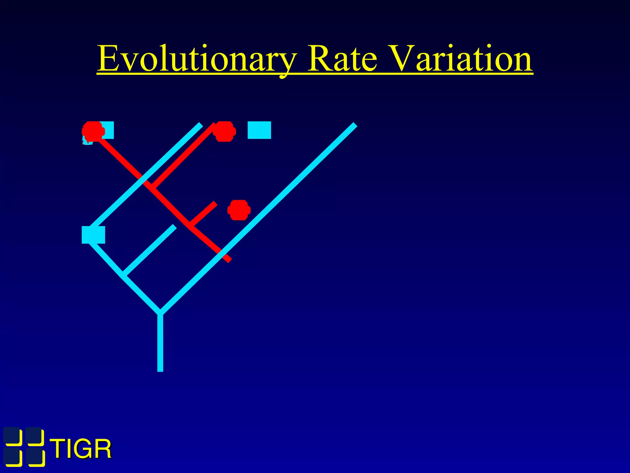 TIGRTIGR
Evolutionary Rate Variation
231456
 