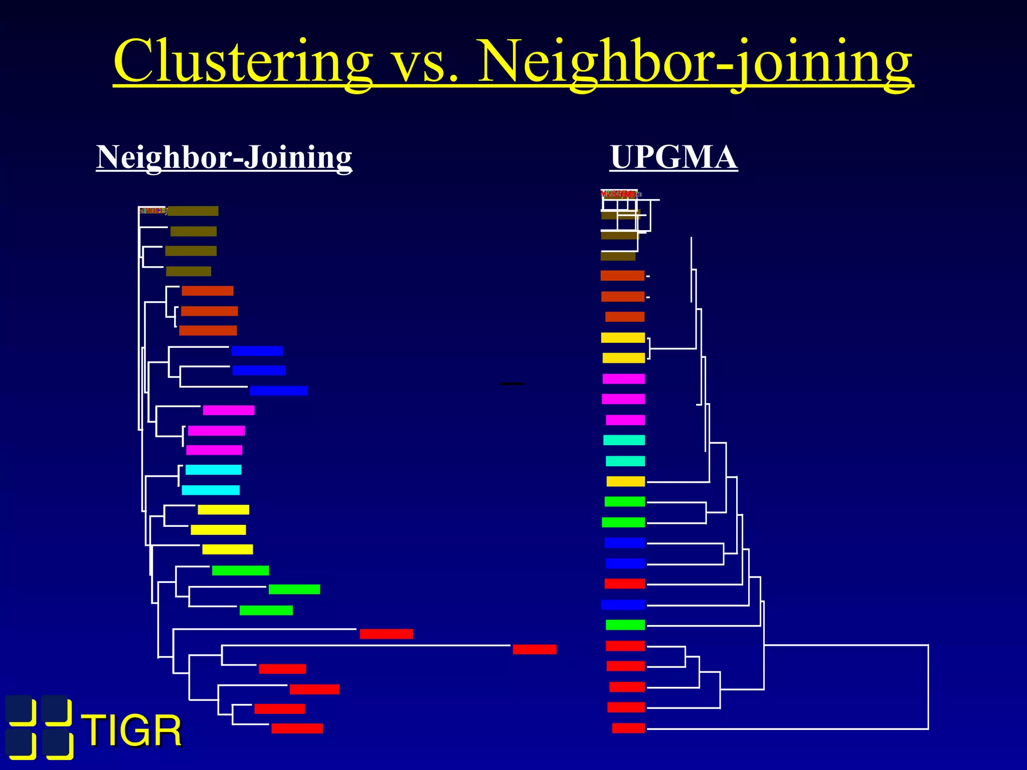 TIGRTIGR
Clustering vs. Neighbor-joining
MutS2.SynsMutS2.BacsMutS2.HelpMutS2.DeirMutsl.MettMSH4.CelegMSH4.YeastMSH4.humanmMutS.SacoMSH3.yeastC23C11.SpoMSH1.YeastMSH3.HumanREP1.MouseGTBP.MouseGTBP.HumanMSH6.YeastMSH5.HumanMSH5.CelegMSH5.YeastMSH2.HumanMSH2.MouseMSH2.YeastMutS.EcoliMutS.SynspMutS.DeiraMutS.Bacsu
MutS.EcoliMutS.SynspMutS.BacsuMutS.DeiraMSH2.HumanMSH2.MouseMSH2.YeastMSH3.HumanREP1.MouseGTBP.MouseGTBP.HumanMSH6.YeastC23C11.SpoMSH1.YeastMSH3.yeastMSH4.CelegMSH4.humanMSH5.CelegMSH5.YeastmMutS.SacoMSH5.HumanMSH4.YeastMutS2.SynsMutS2.BacsMutS2.DeirMutS2.HelpMutsl.Mett
UPGMANeighbor-Joining
 