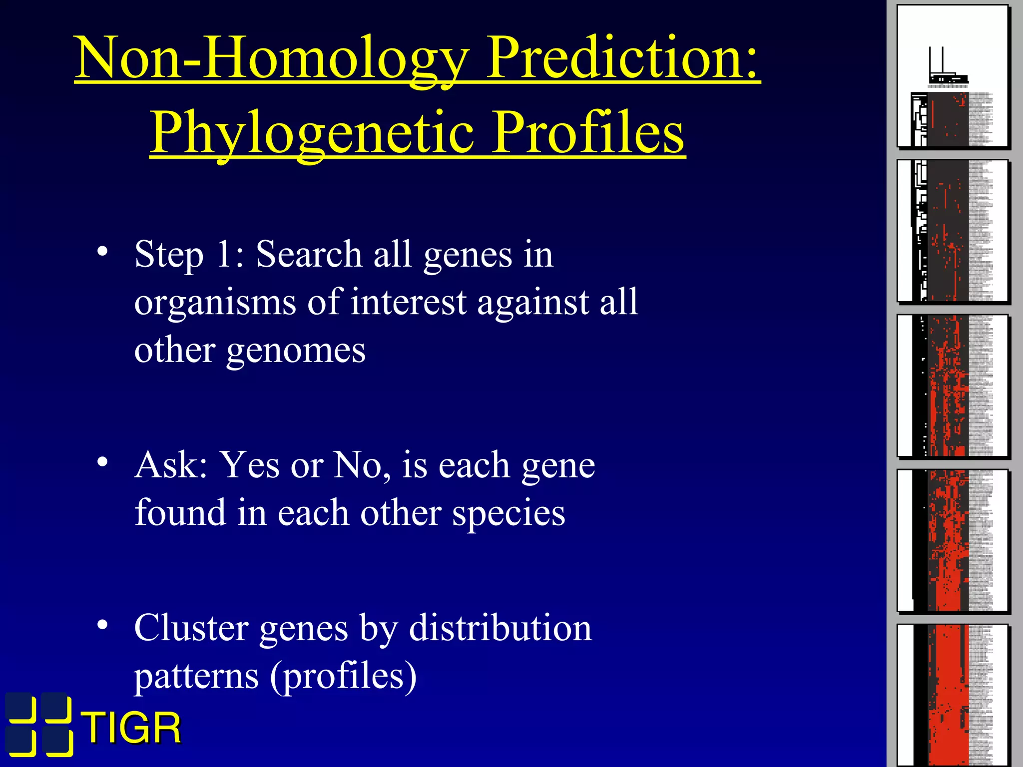 TIGRTIGR
Non-Homology Prediction:
Phylogenetic Profiles
• Step 1: Search all genes in
organisms of interest against all
other genomes
• Ask: Yes or No, is each gene
found in each other species
• Cluster genes by distribution
patterns (profiles)
 