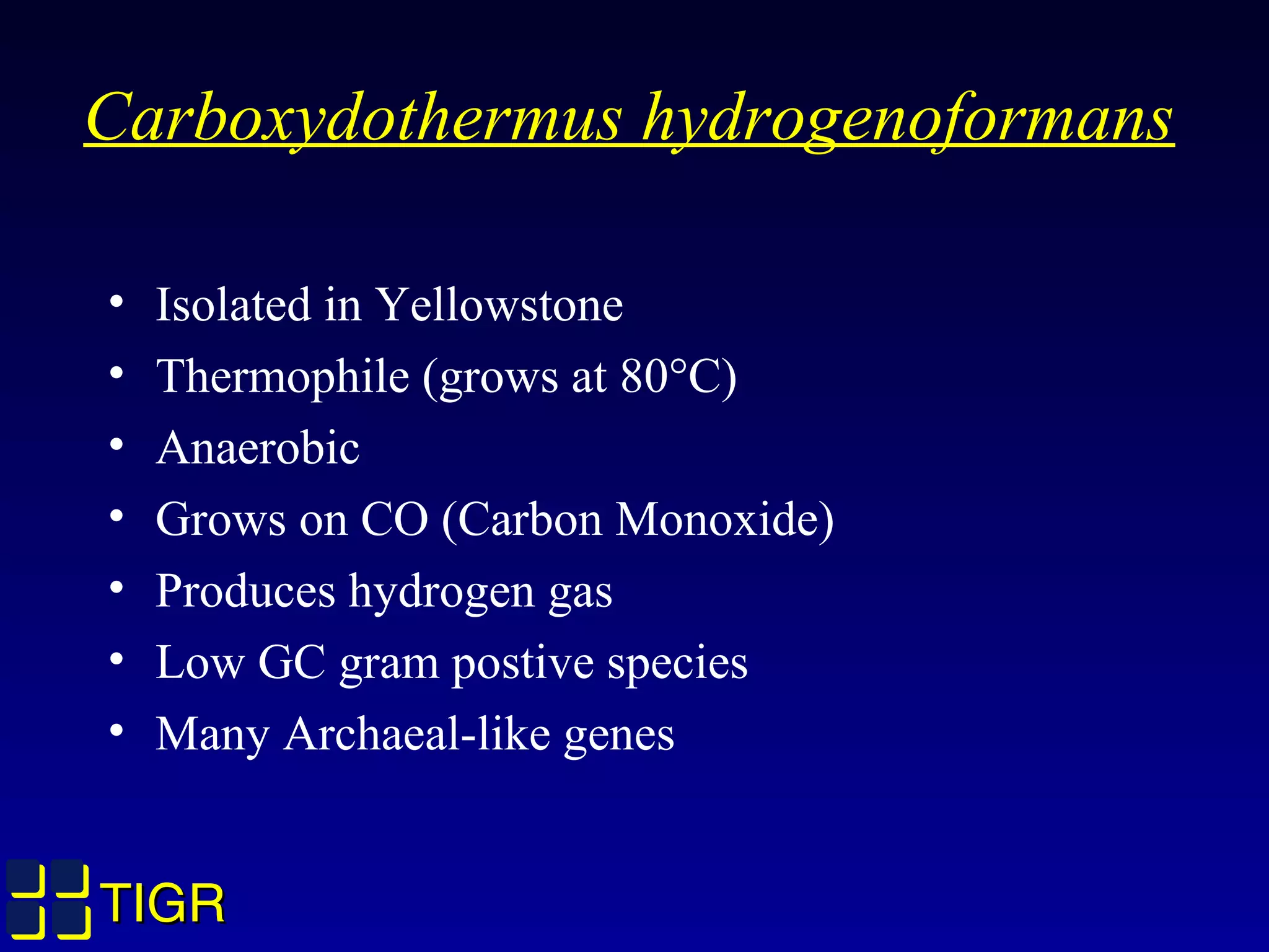 TIGRTIGR
Carboxydothermus hydrogenoformans
• Isolated in Yellowstone
• Thermophile (grows at 80°C)
• Anaerobic
• Grows on CO (Carbon Monoxide)
• Produces hydrogen gas
• Low GC gram postive species
• Many Archaeal-like genes
 