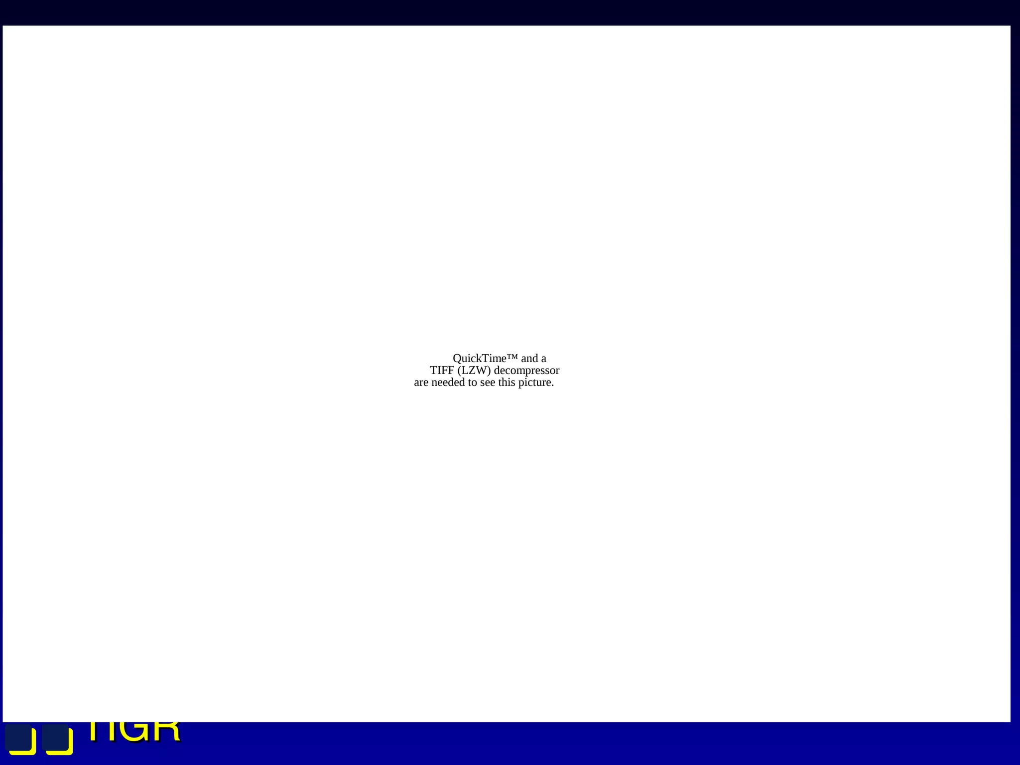 TIGRTIGR
QuickTime™ and a
TIFF (LZW) decompressor
are needed to see this picture.
 