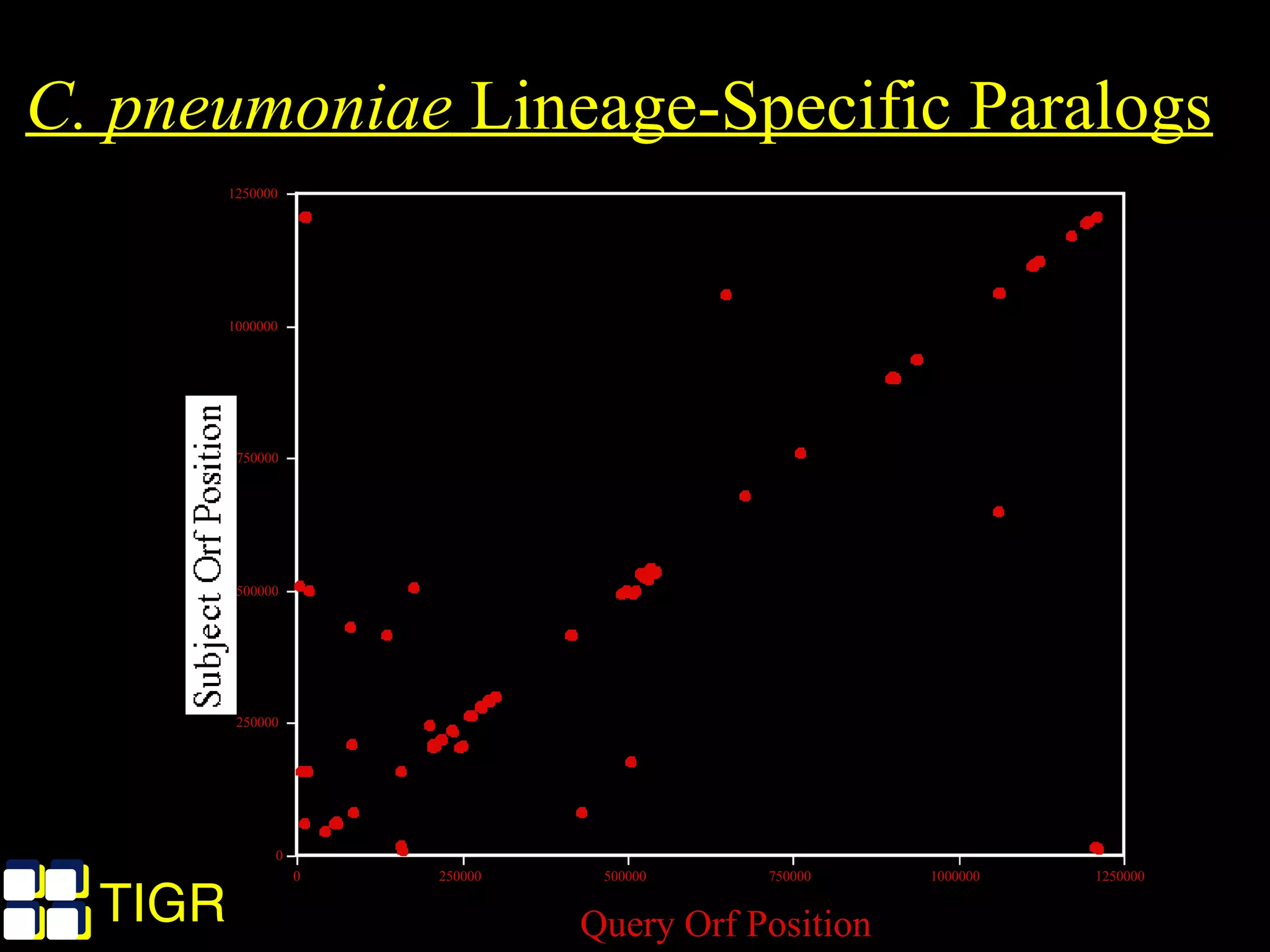TIGRTIGR
C. pneumoniae Lineage-Specific Paralogs
0
250000
500000
750000
1000000
1250000
Subject Orf Position
0 250000 500000 750000 1000000 1250000
Query Orf Position
 