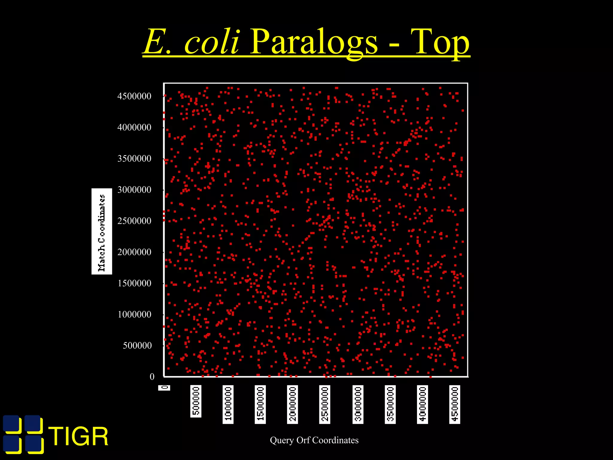 TIGRTIGR
E. coli Paralogs - Top
0
500000
1000000
1500000
2000000
2500000
3000000
3500000
4000000
4500000
Match Coordinates
0
500000
10000001500000200000025000003000000350000040000004500000
Query Orf Coordinates
 