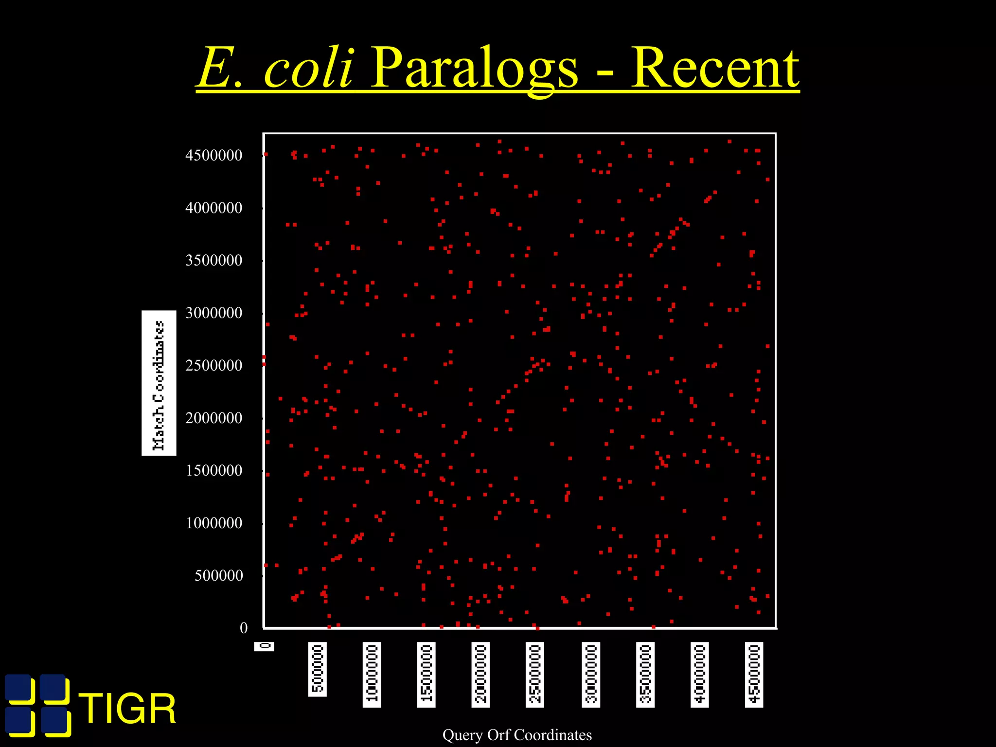 TIGRTIGR
E. coli Paralogs - Recent
0
500000
1000000
1500000
2000000
2500000
3000000
3500000
4000000
4500000
Match Coordinates
0
500000
10000001500000200000025000003000000350000040000004500000
Query Orf Coordinates
 