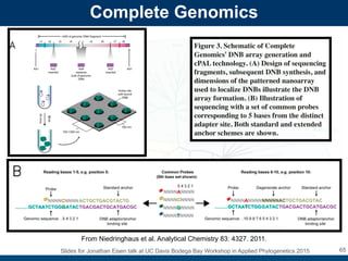 Evolution of DNA Sequencing by Jonathan Eisen | PDF