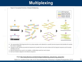 Evolution of DNA Sequencing by Jonathan Eisen | PDF