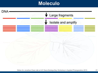 Evolution of DNA Sequencing by Jonathan Eisen | PDF