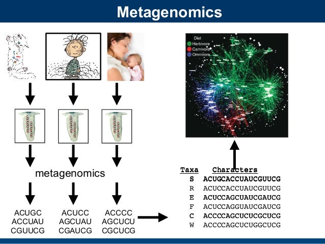 Talk By J Eisen For Nz Computational Genomics Meeting