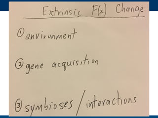Hand drawn slides for talk for #PSB17 on Evolution and functional prediction