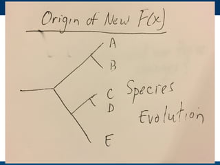 Hand drawn slides for talk for #PSB17 on Evolution and functional prediction