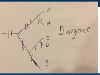 Hand drawn slides for talk for #PSB17 on Evolution and functional prediction